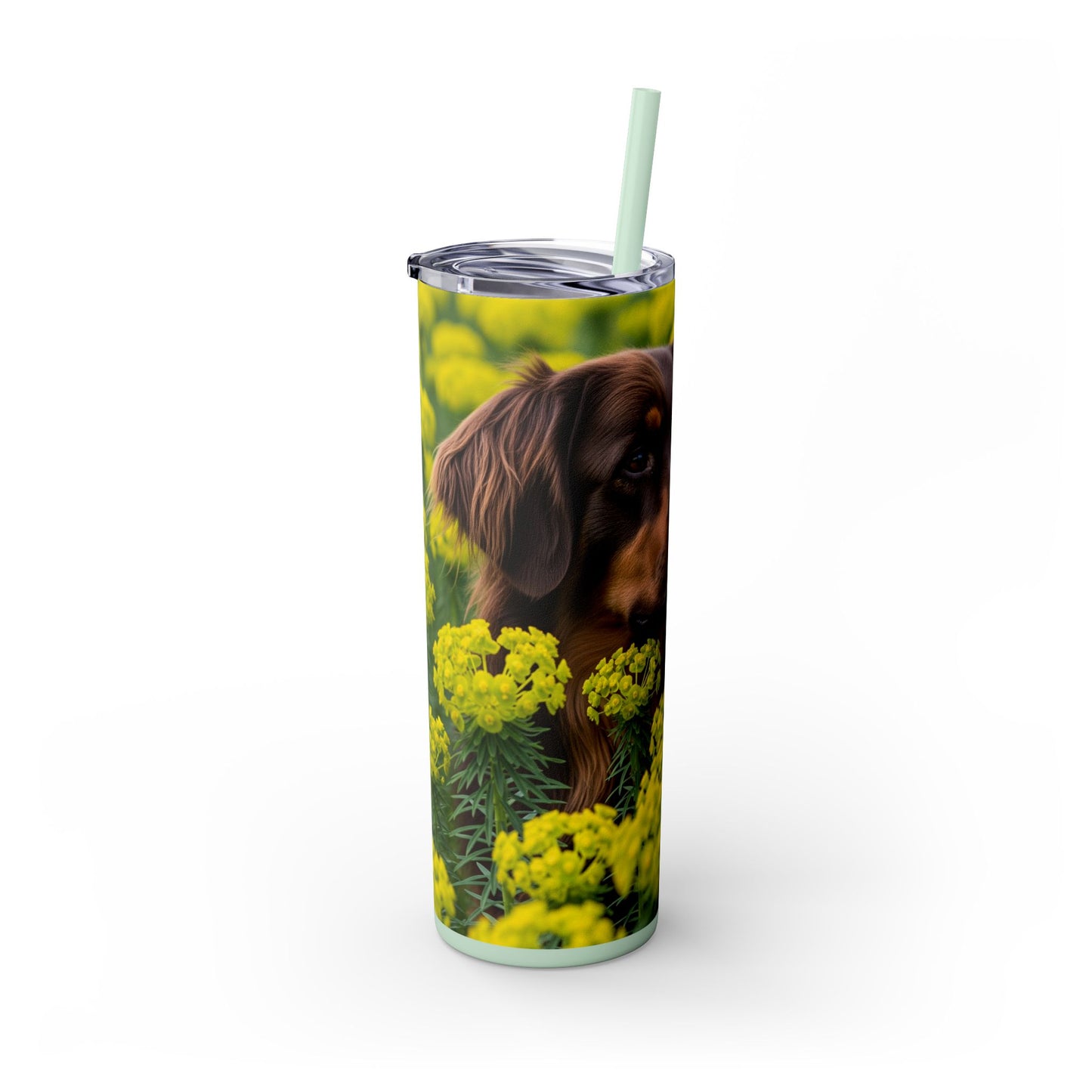 Hovawart Tumbler with Straw, 20oz