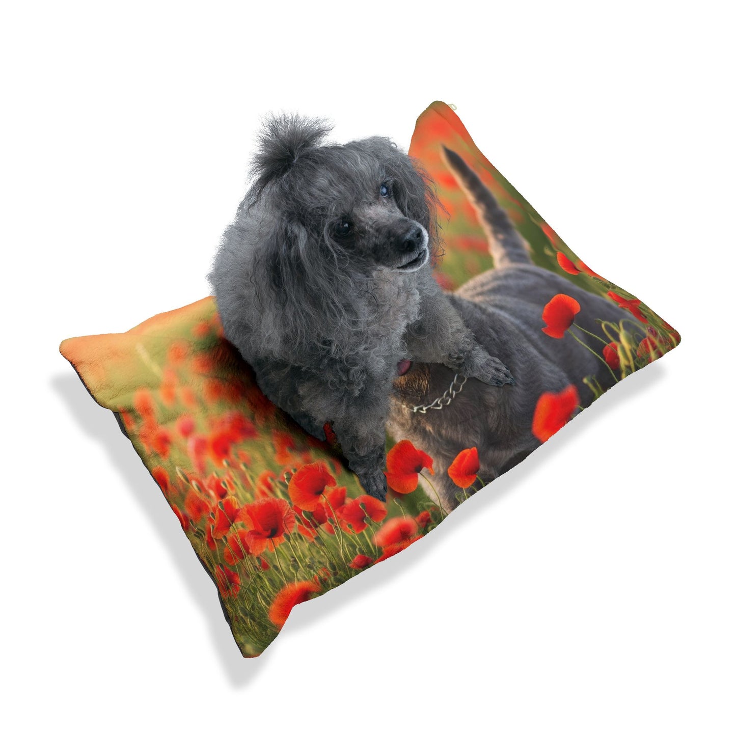 Bouvier des Ardennes Pet Bed