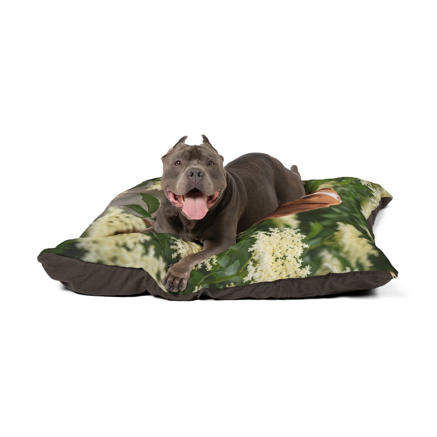 Braque St. Germain Pet Bed