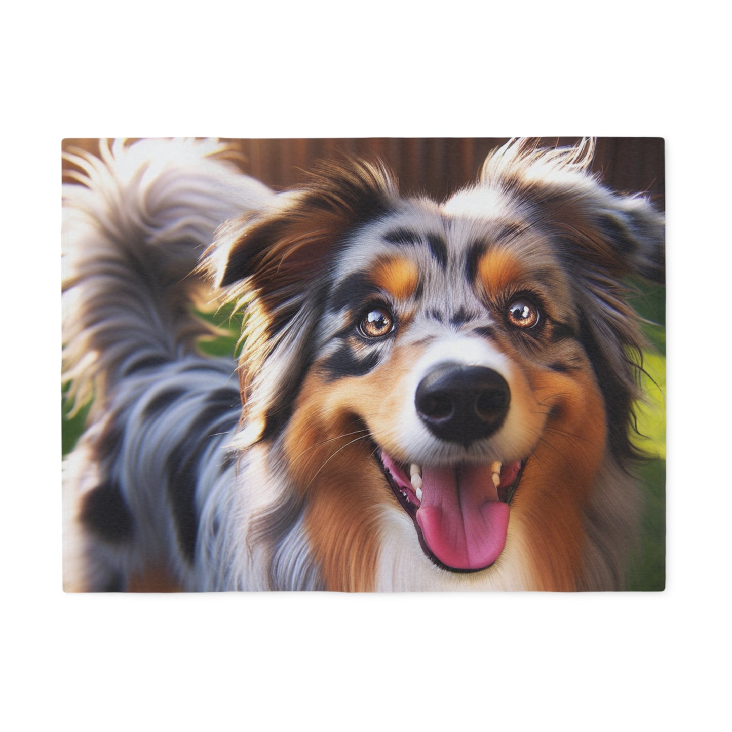 Australian Shepherd Sweatshirt Blanket
