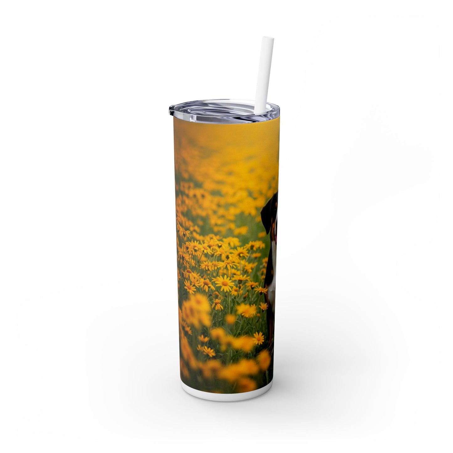 Entlebucher Mountain Dog Skinny Tumbler with Straw, 20oz