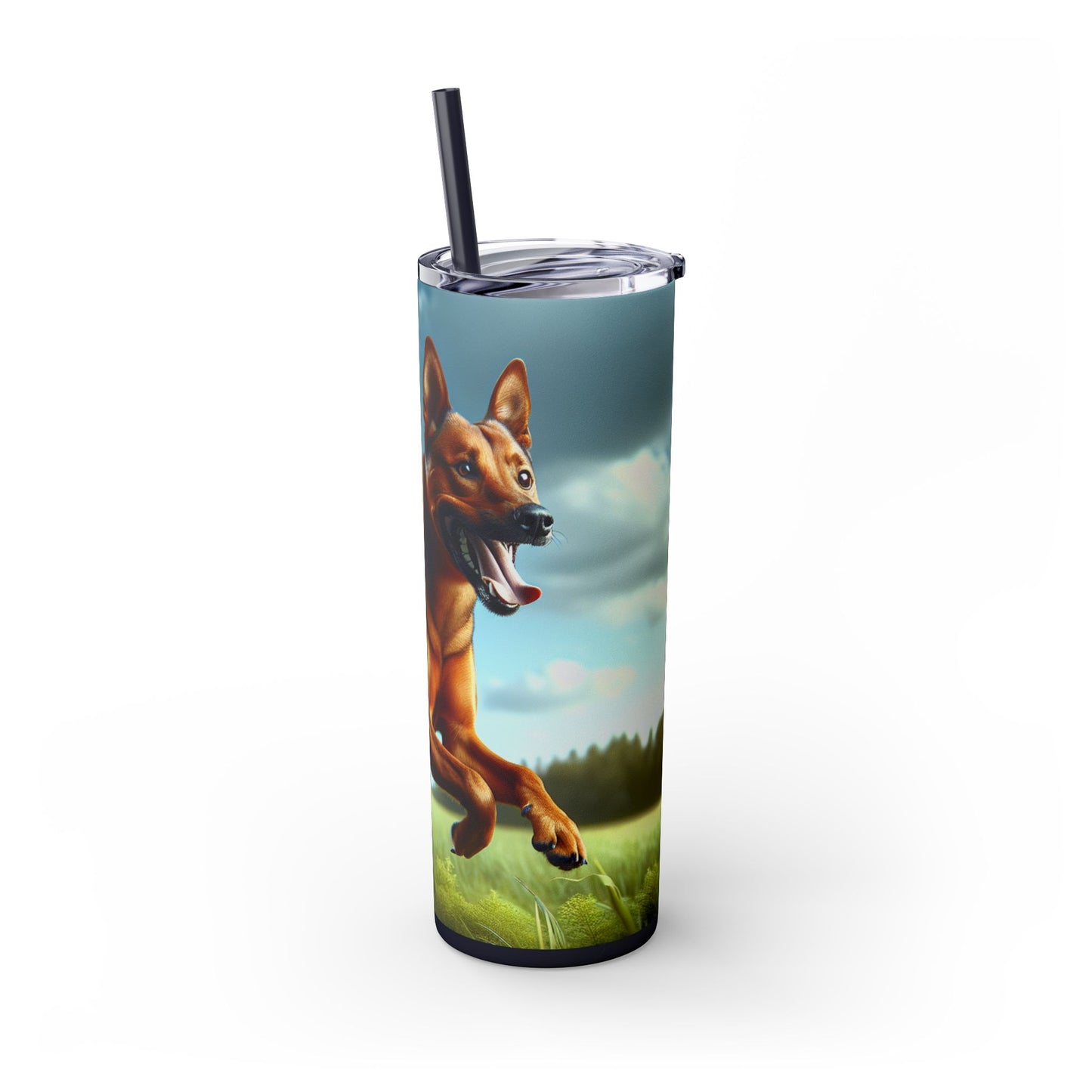 Kanni Tumbler with Straw, 20oz