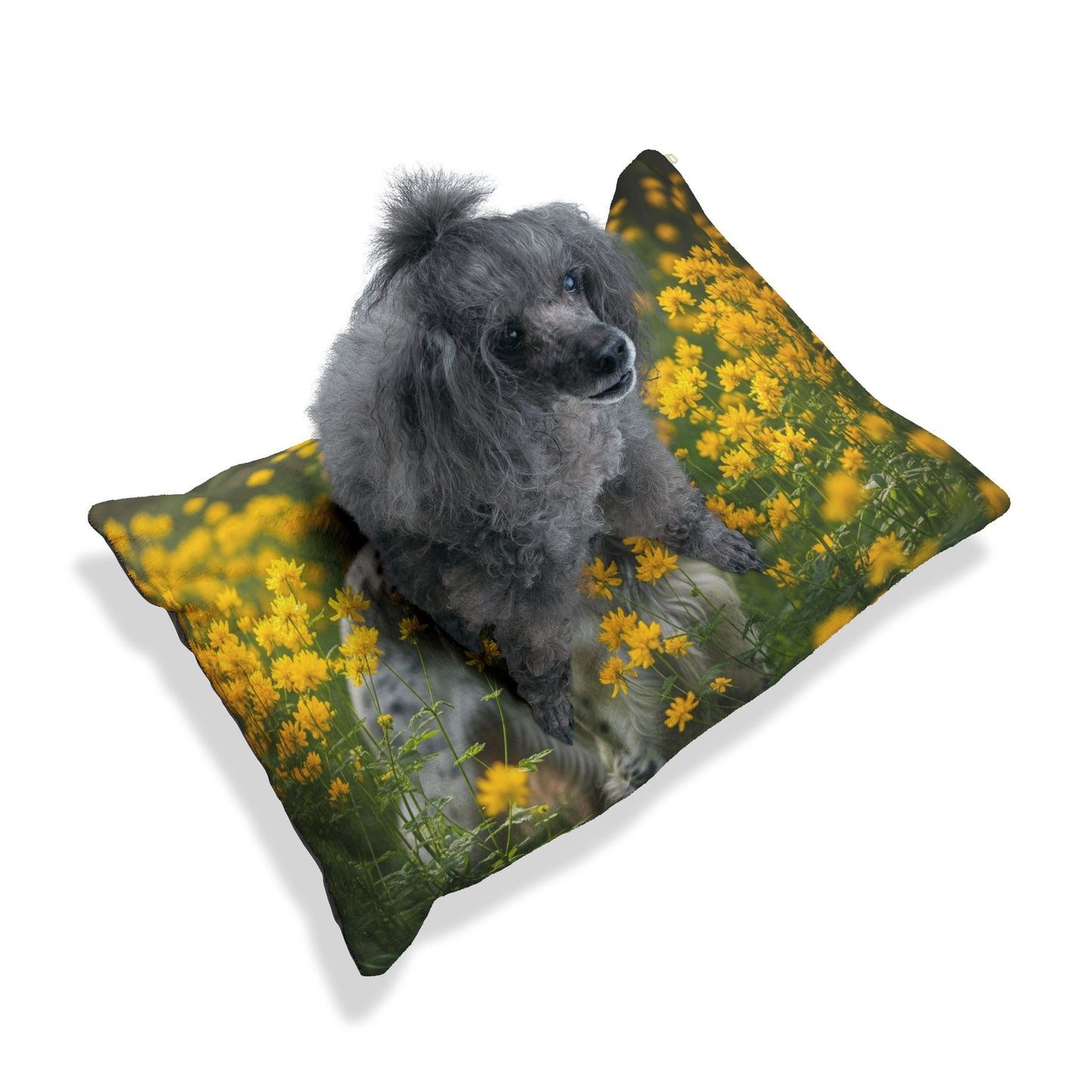 English Setter Pet Bed