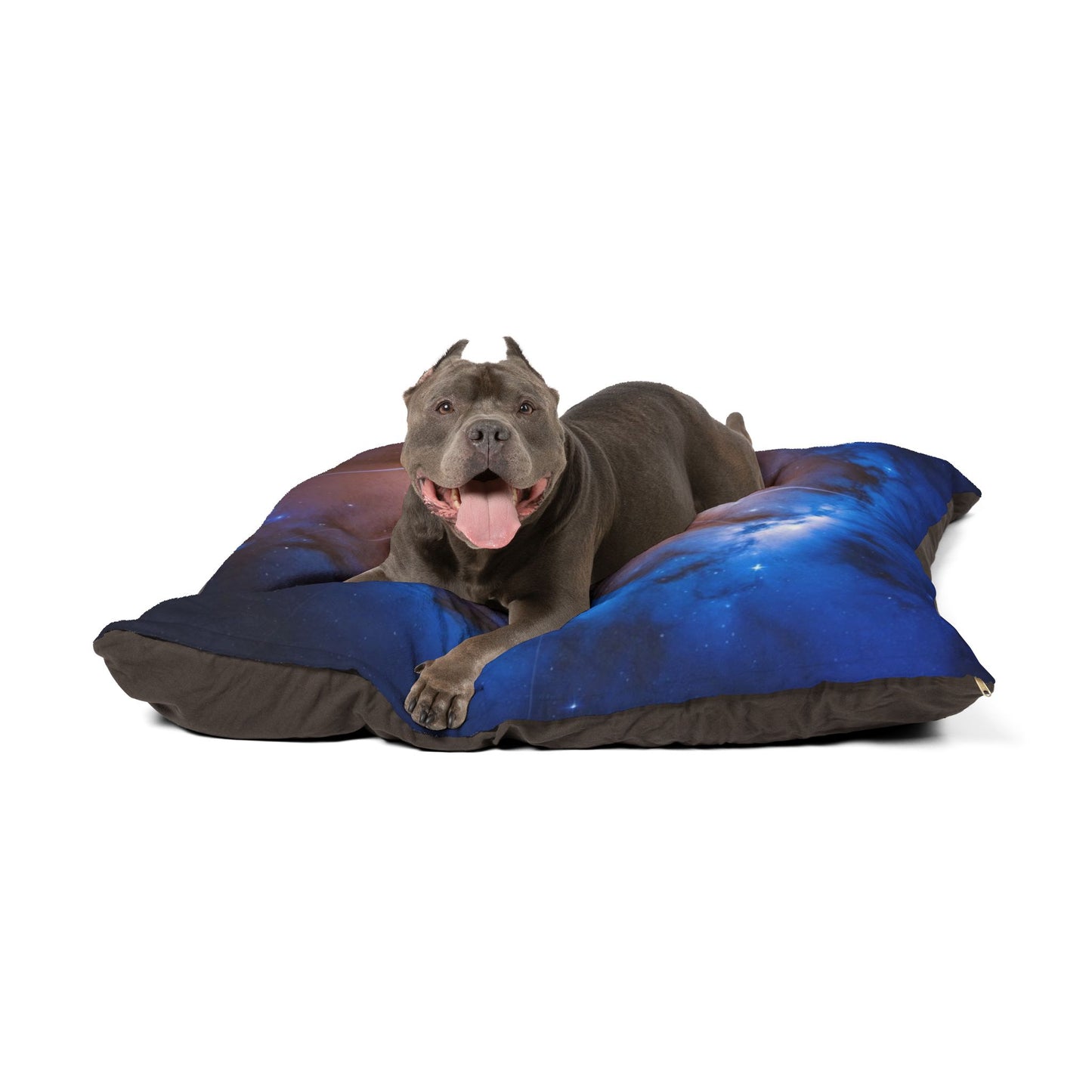 North Star Pet Bed
