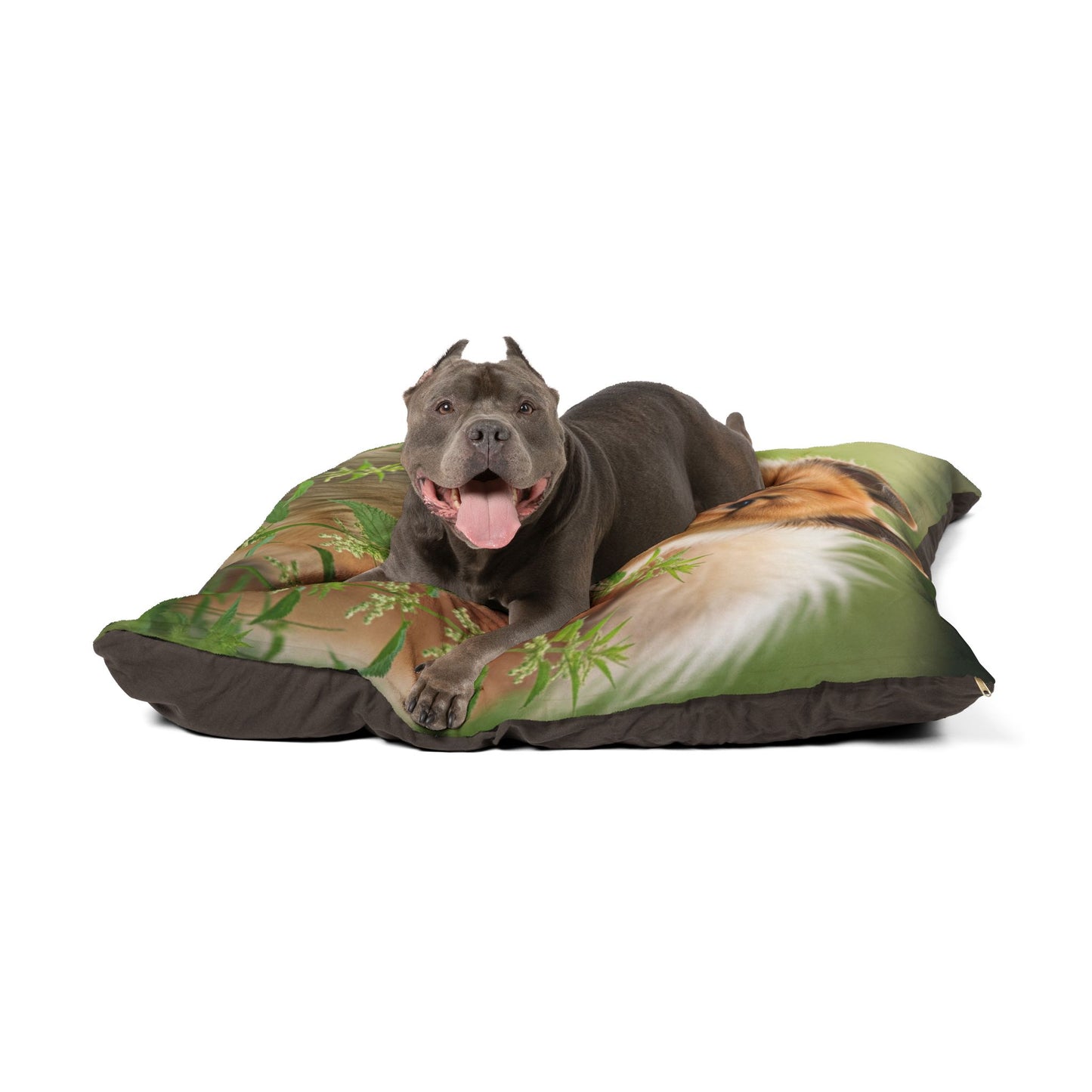 Eurasier Pet Bed