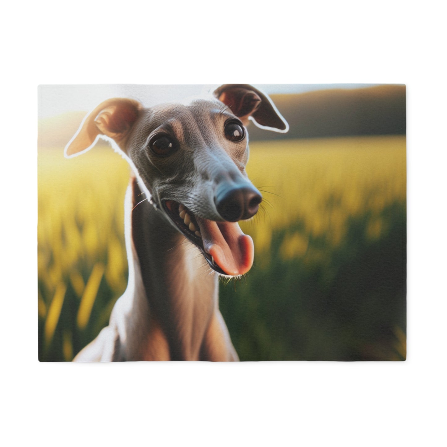 Greyhound Sweatshirt Blanket