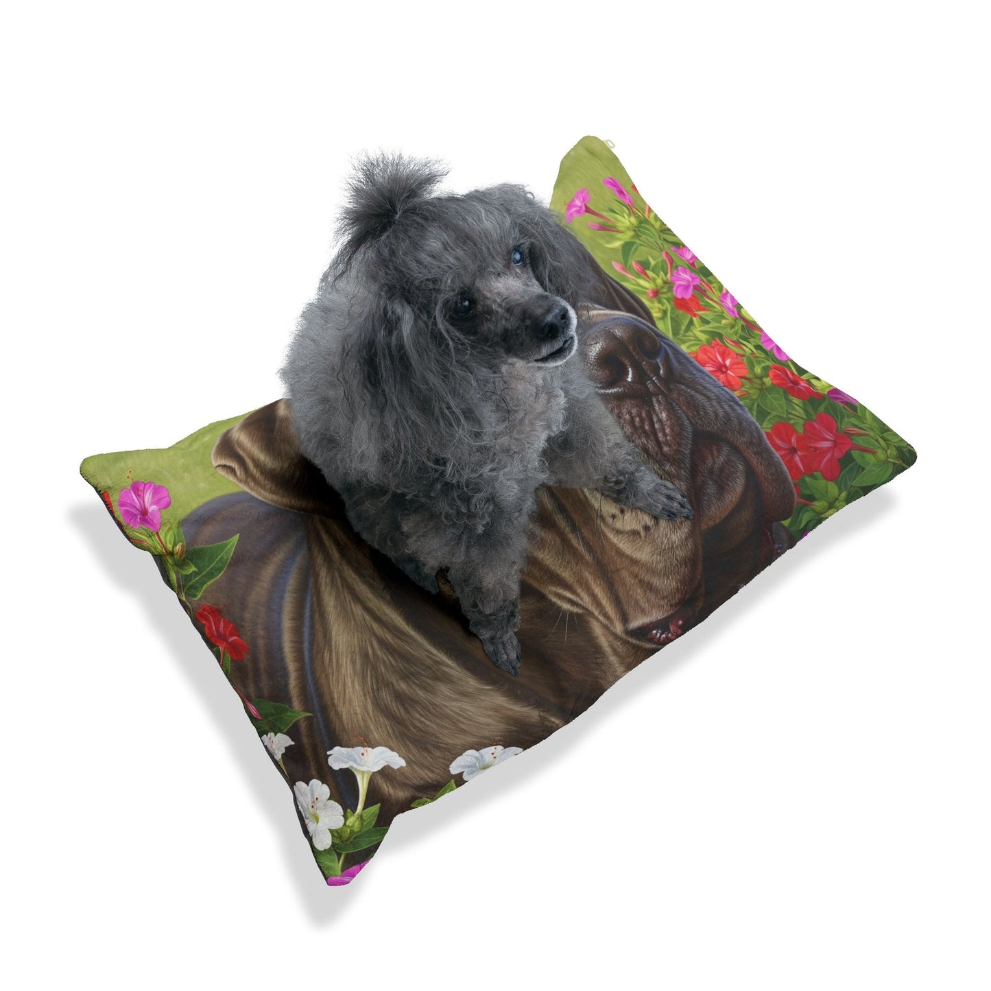 Neapolitan Mastiff Pet Bed