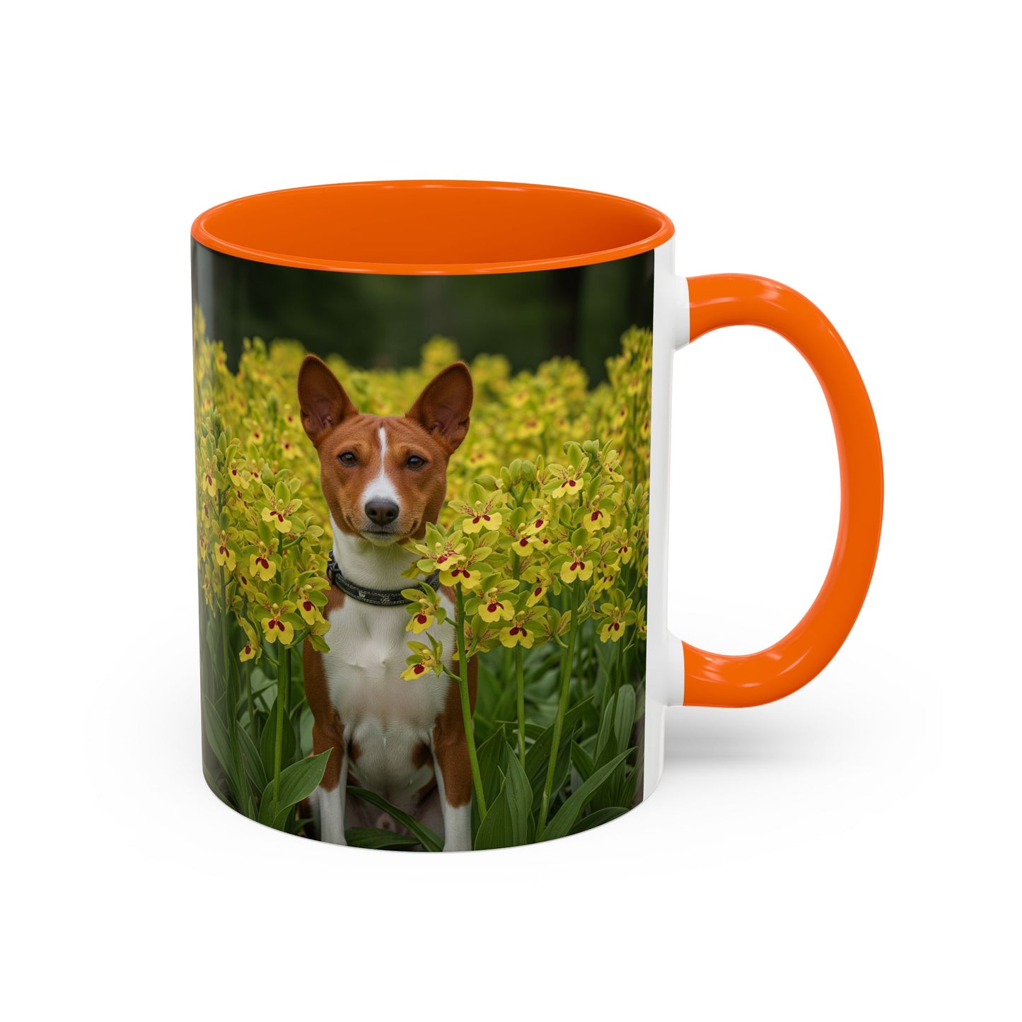 Basenji Accent Coffee Mug - Perfect Gift for Dog Lovers
