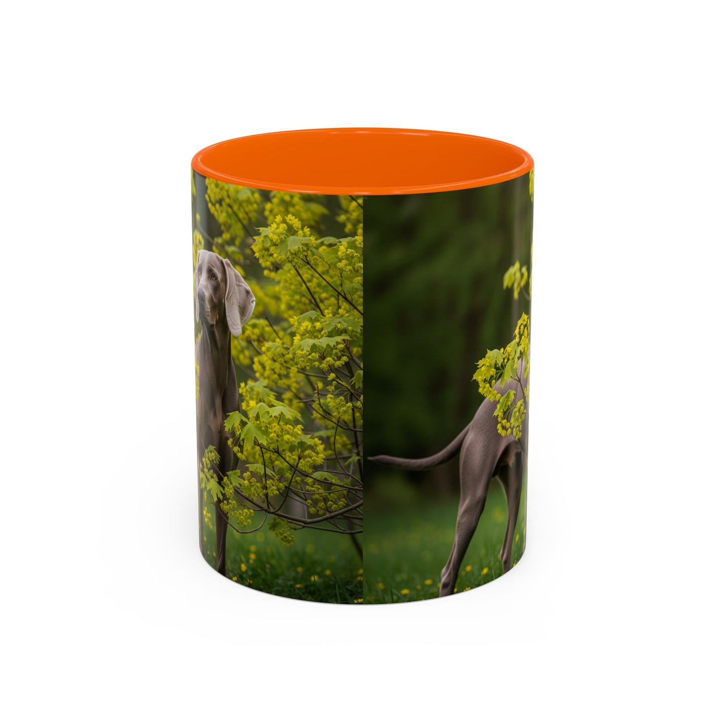 Weimaraner Accent Coffee Mug - Perfect Gift for Dog Lovers