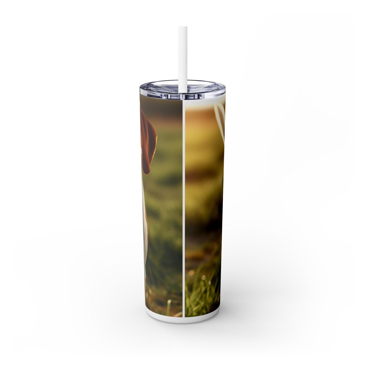 Bracco Italiano Tumbler with Straw, 20oz