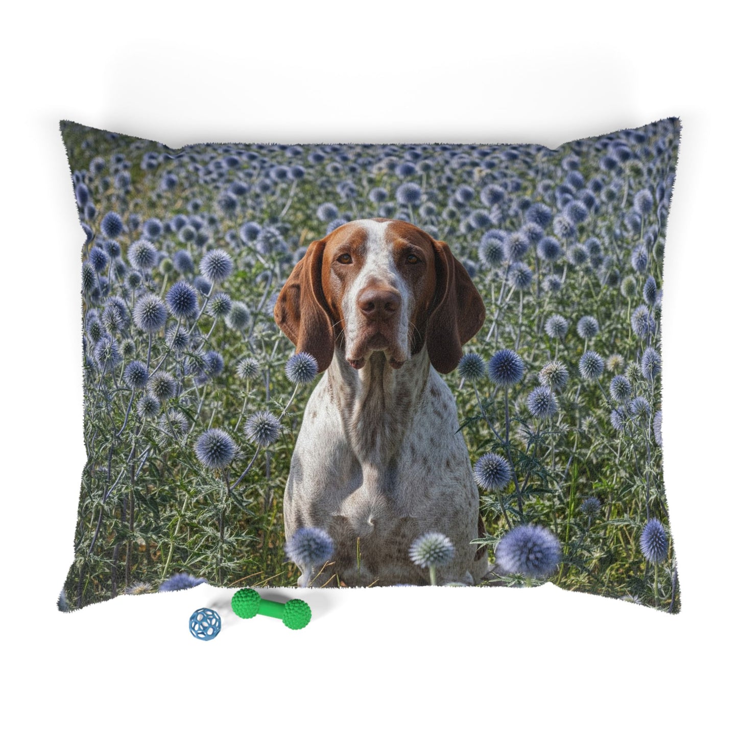 Braque Francais Pyrenean Pet Bed