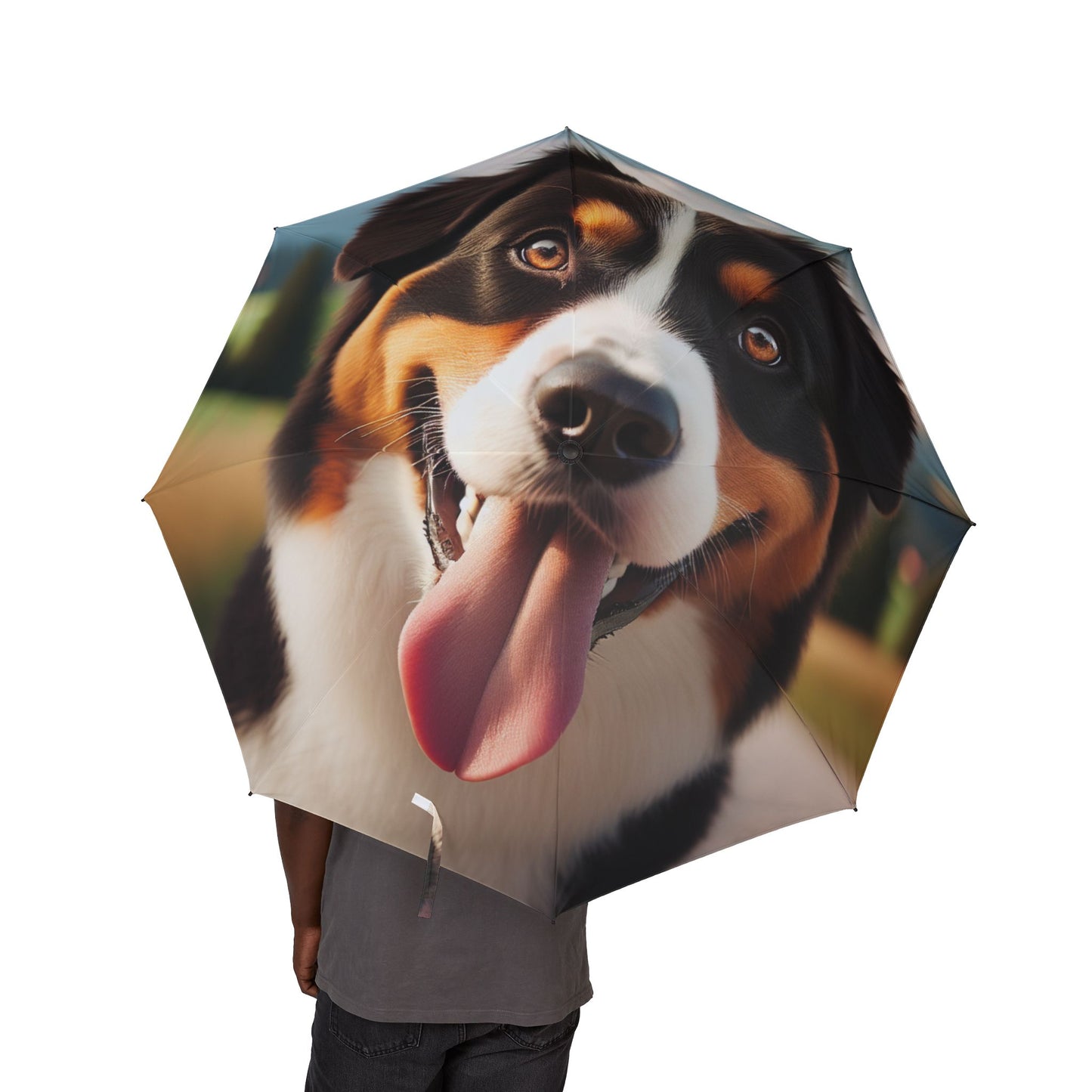 Appenzeller Sennenhund Semi-Automatic Foldable Umbrella