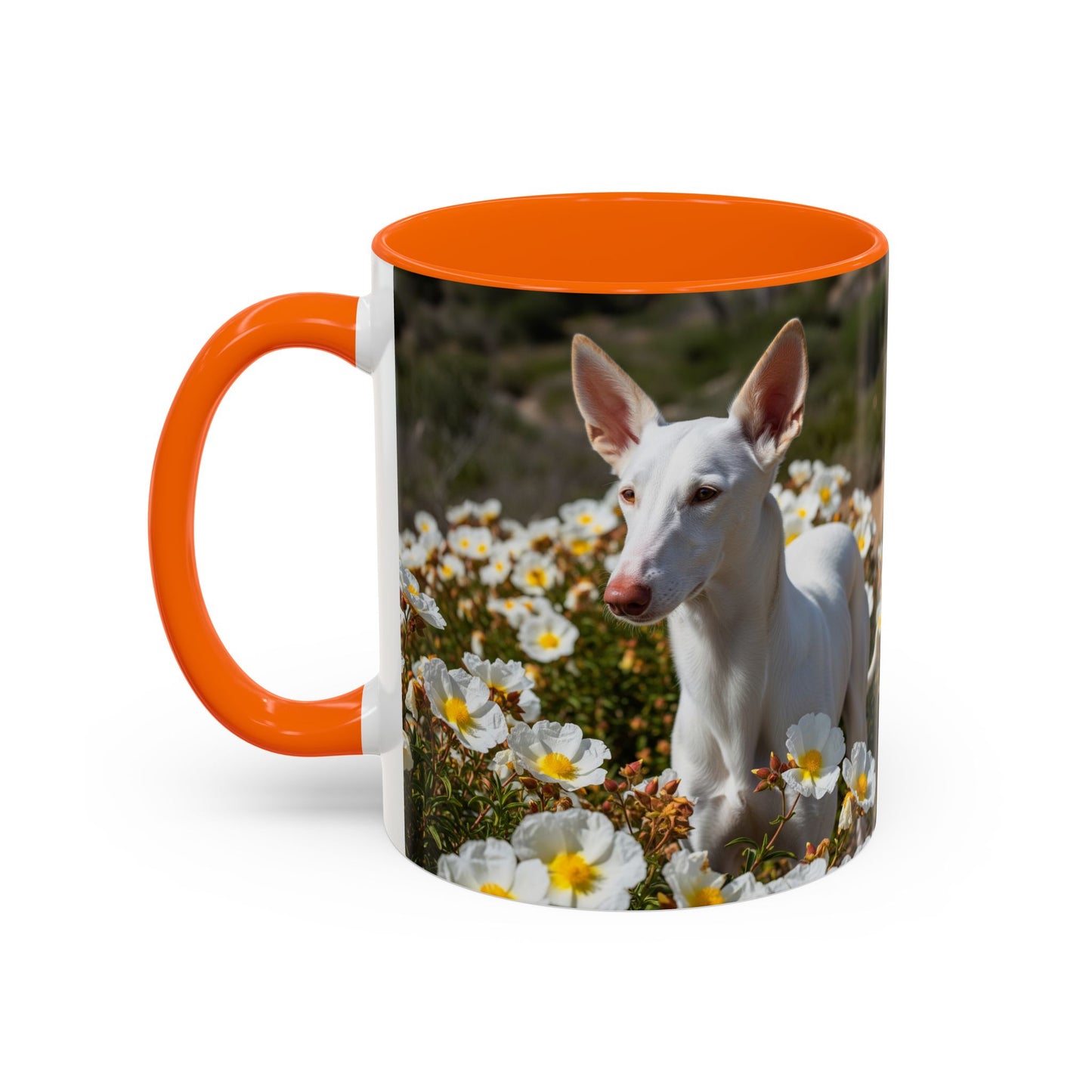 Ibizan Hound Accent Coffee Mug - Perfect Gift for Dog Lovers