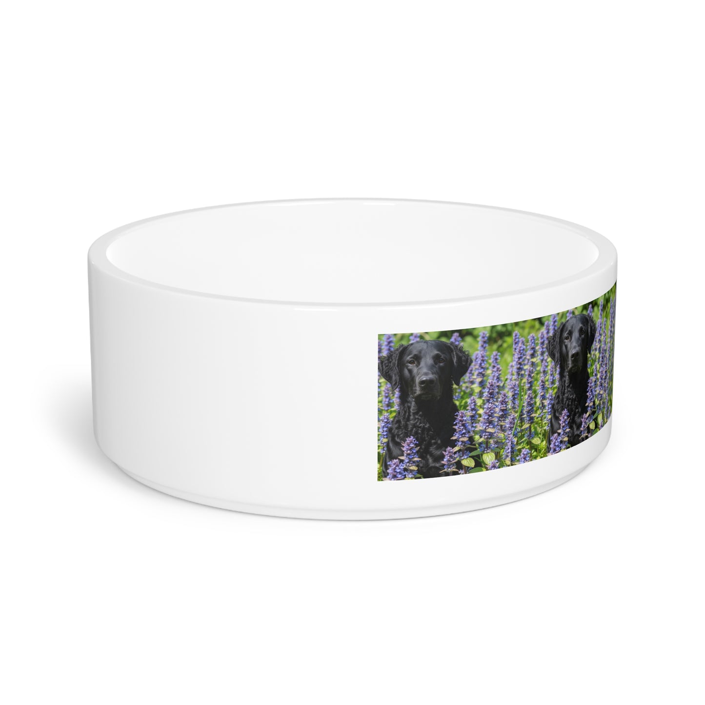 Curly Coated Retriever Pet Bowl