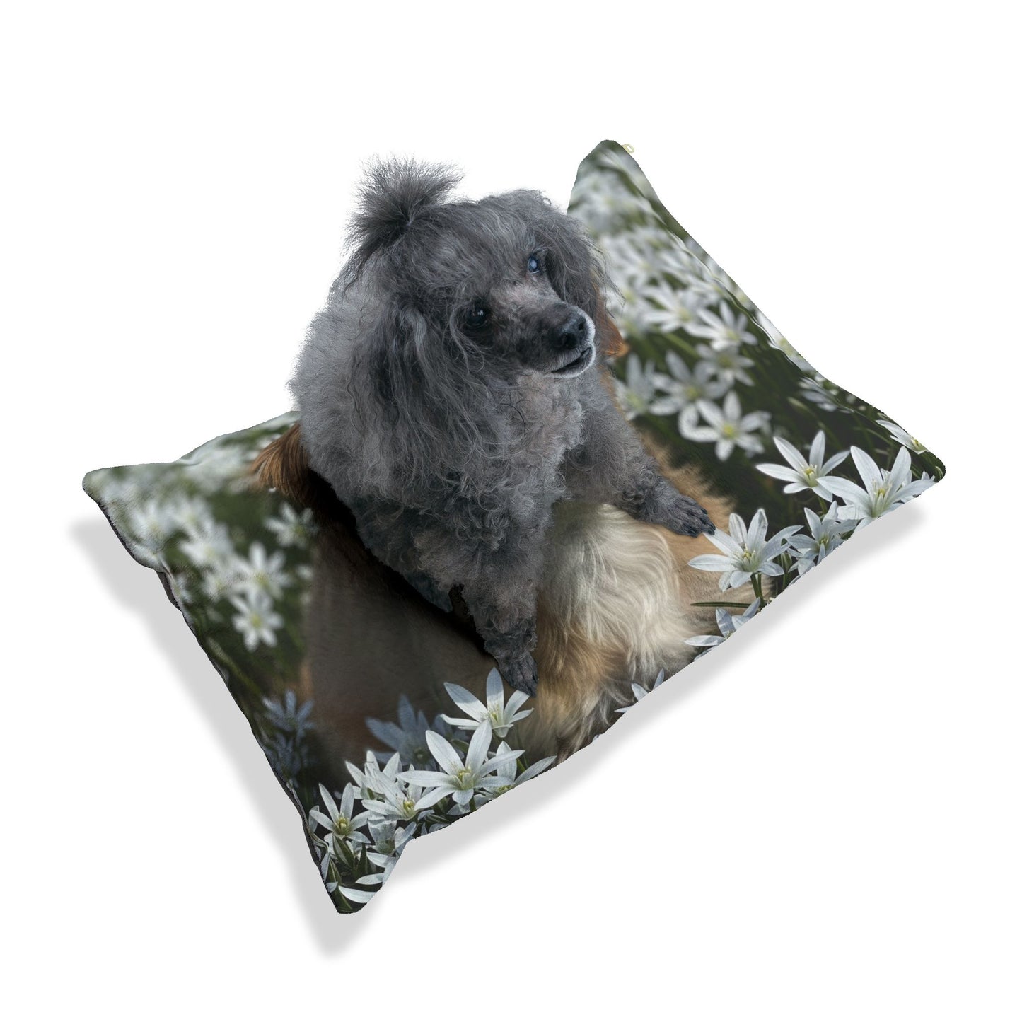 Morkie Pet Bed