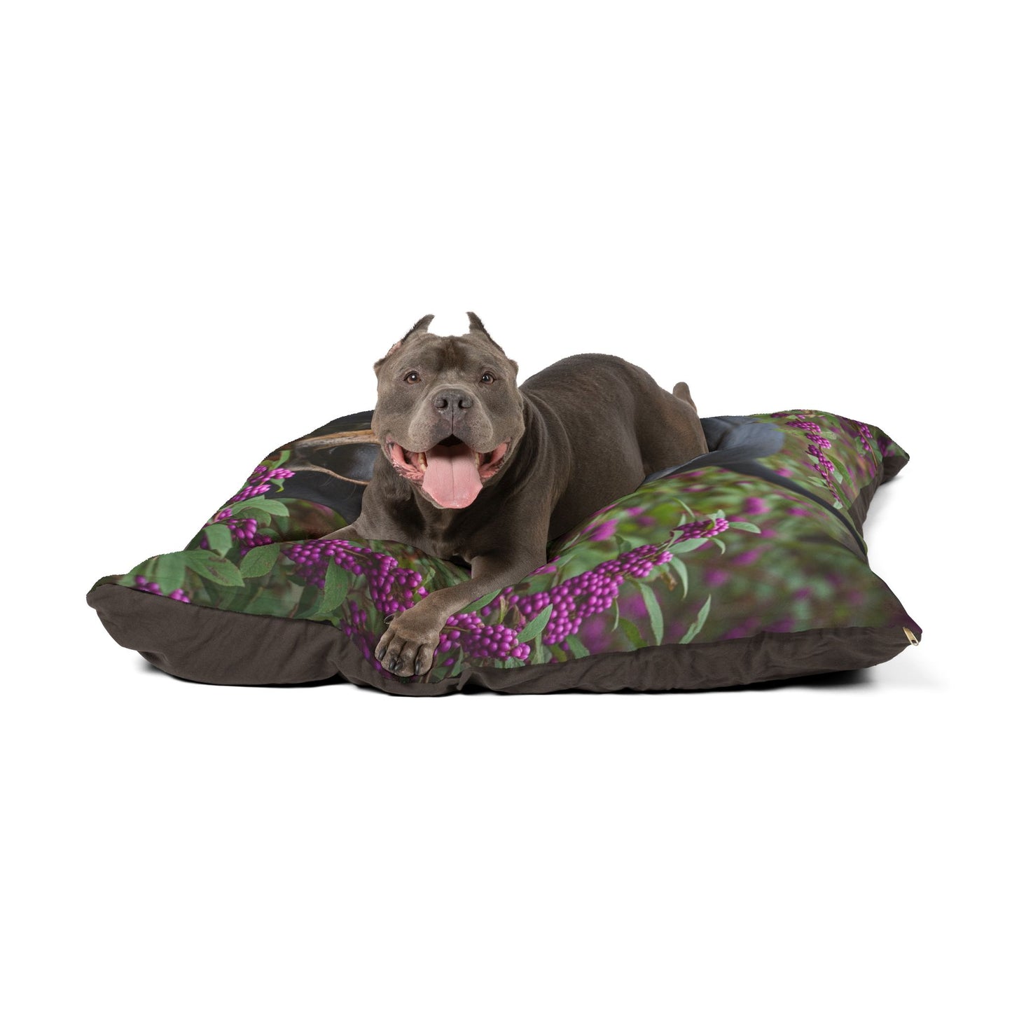 Black and Tan Coonhound Pet Bed