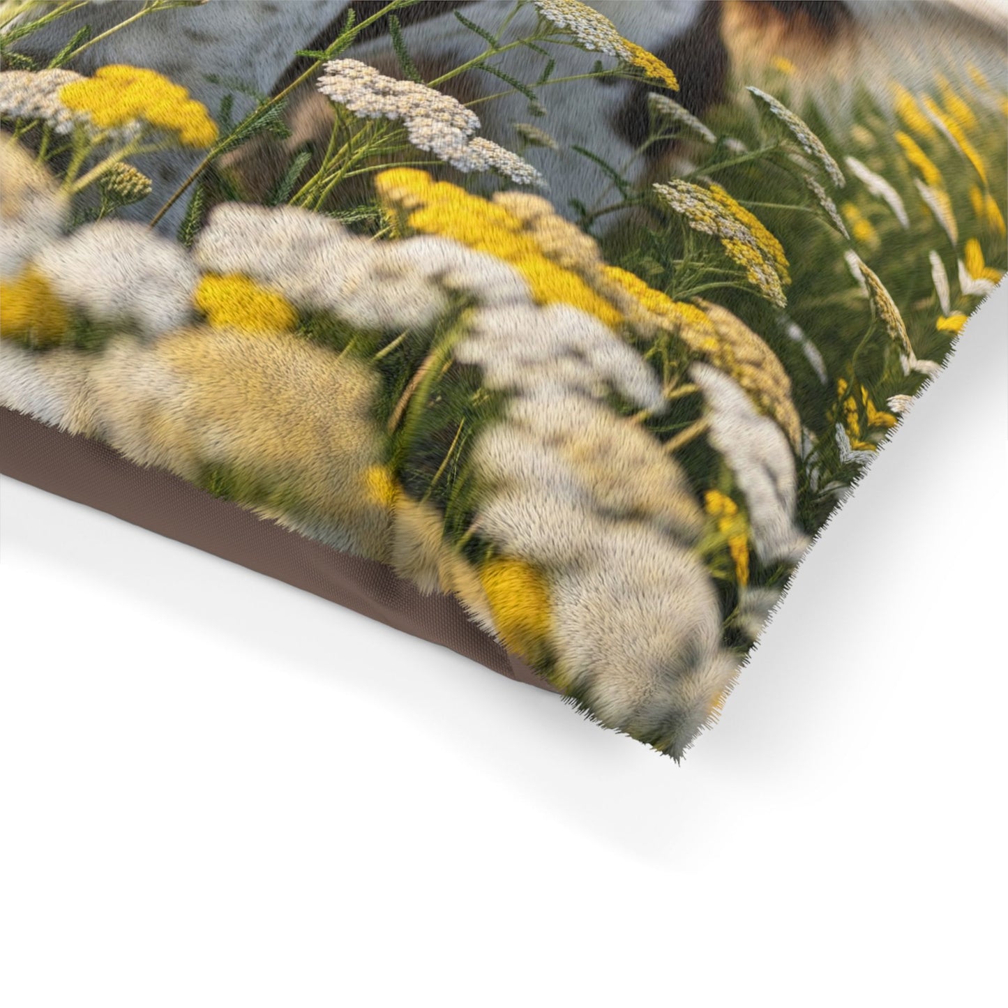 Drentsche Patrijshond Pet Bed