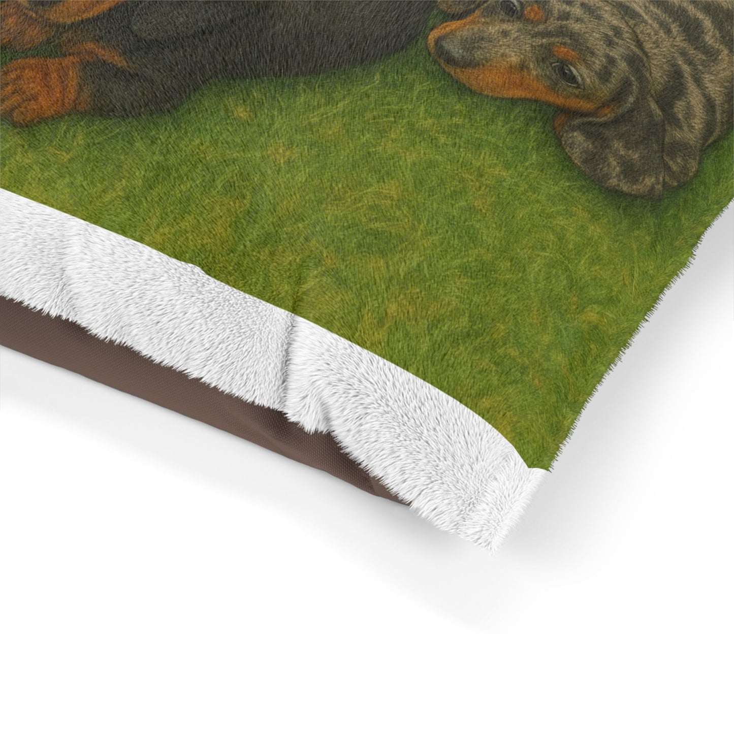 Dachshund puppies Pet Bed