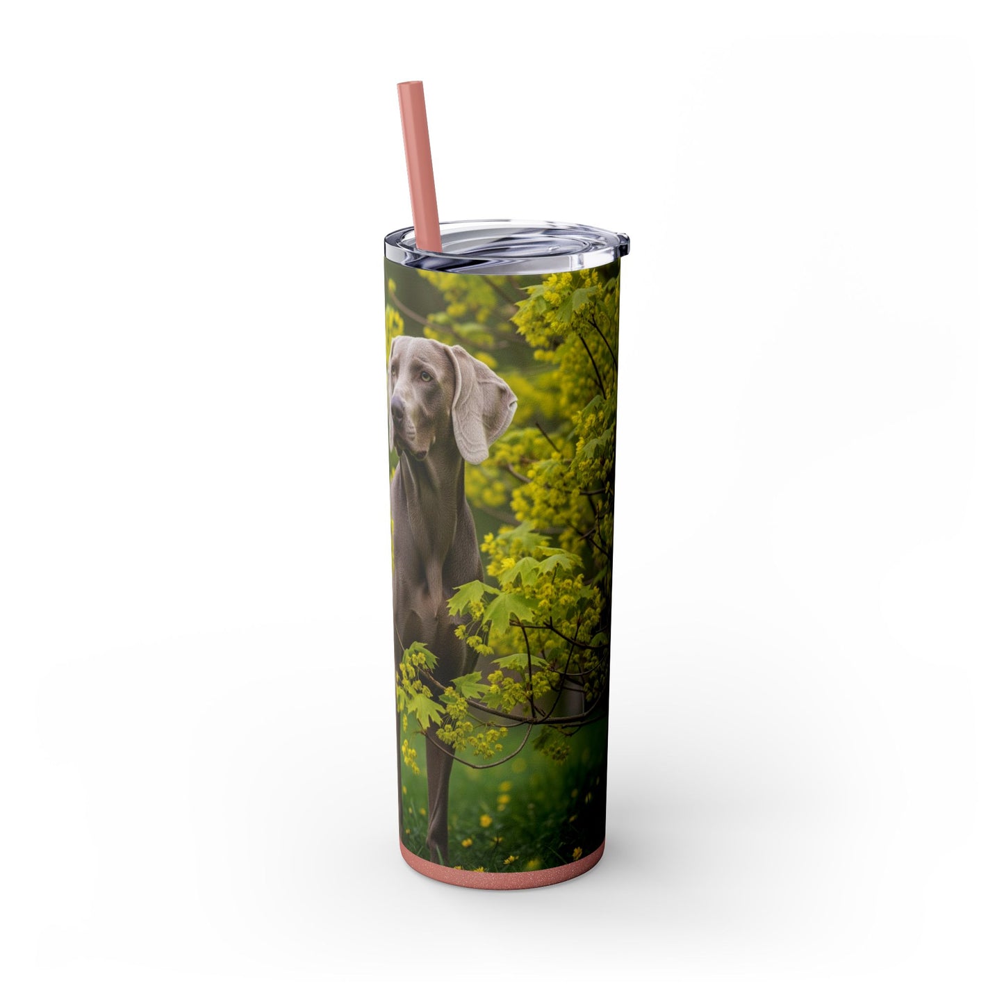 Weimaraner Skinny Tumbler with Straw, 20oz