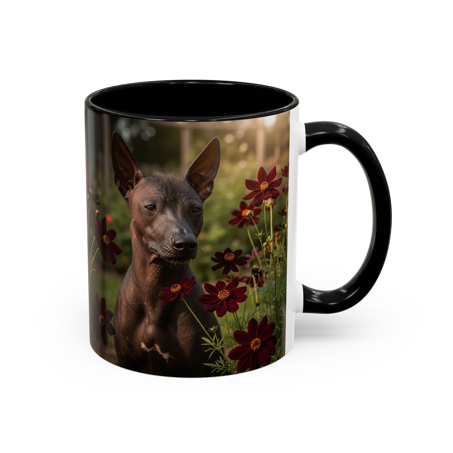 Xoloitzcuintli Accent Coffee Mug - Perfect Gift for Dog Lovers