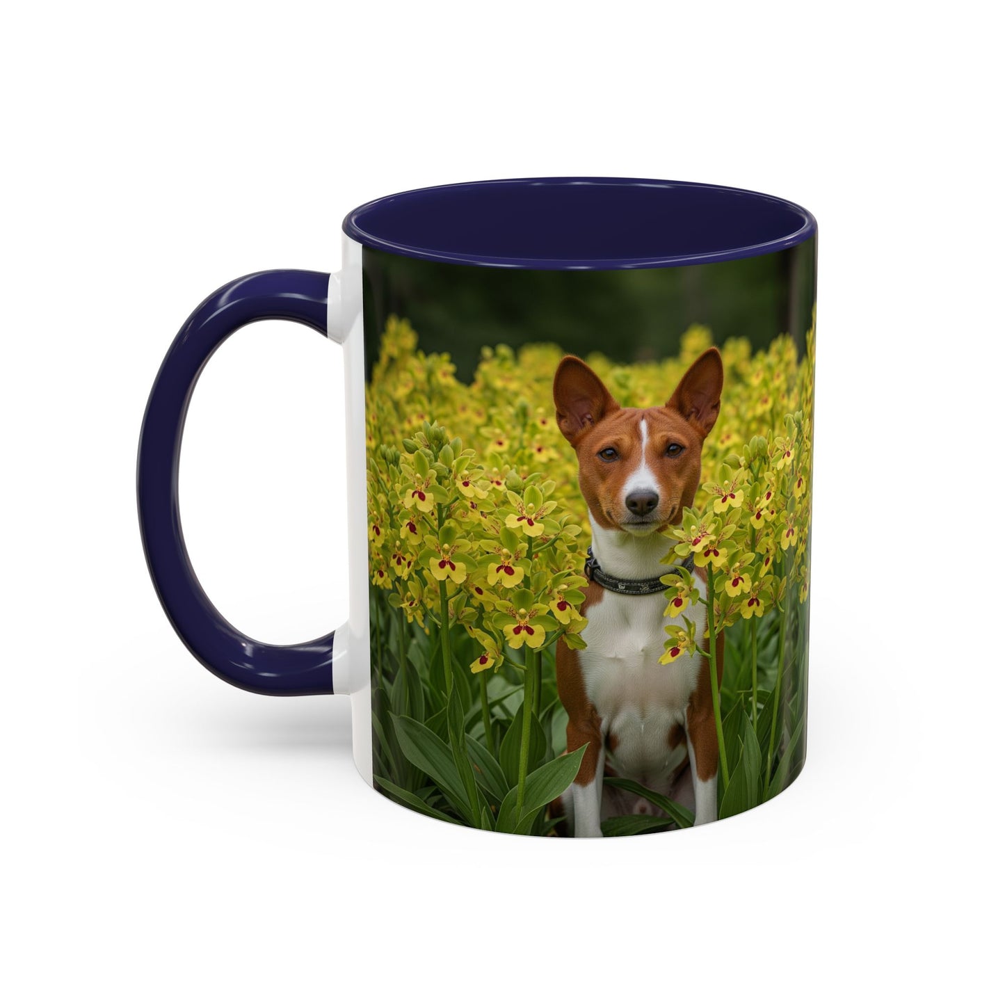 Basenji Accent Coffee Mug - Perfect Gift for Dog Lovers