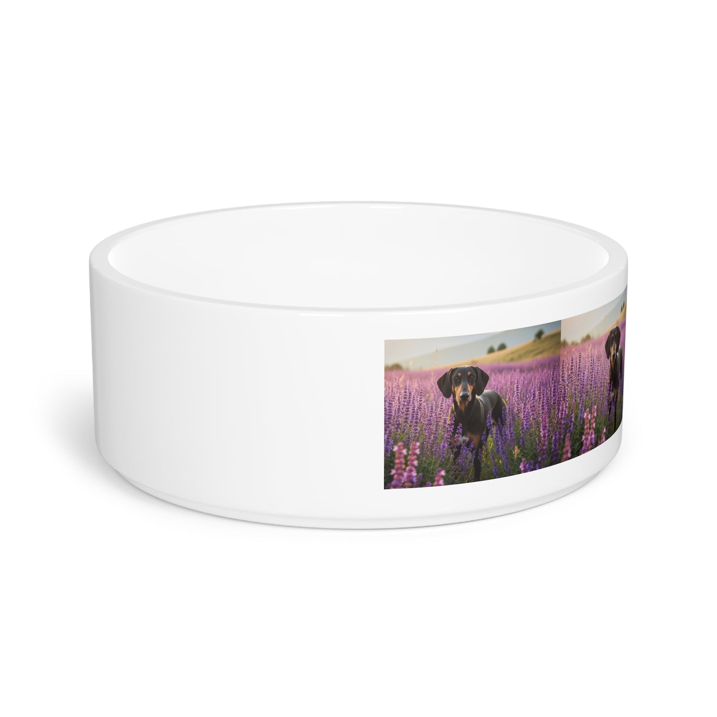 Transylvanian Hound Pet Bowl