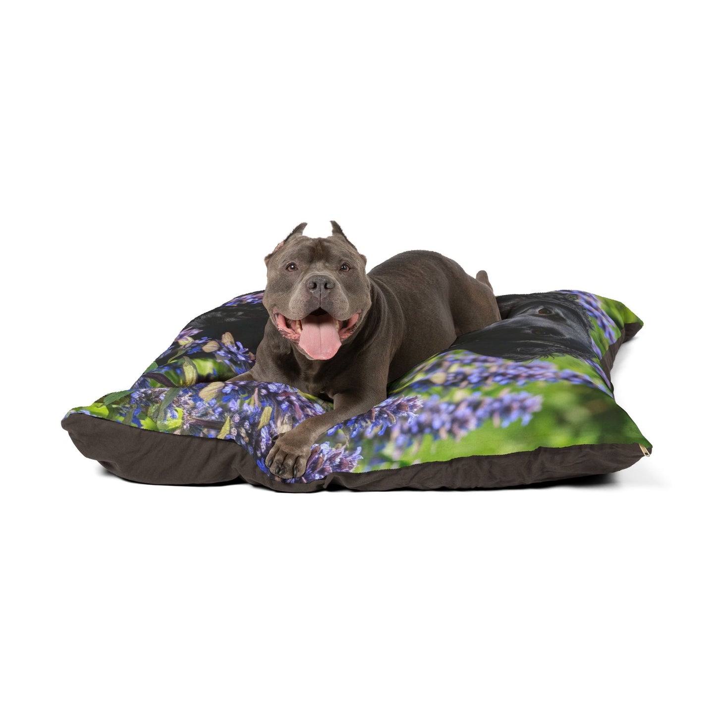Curly Coated Retriever Pet Bed
