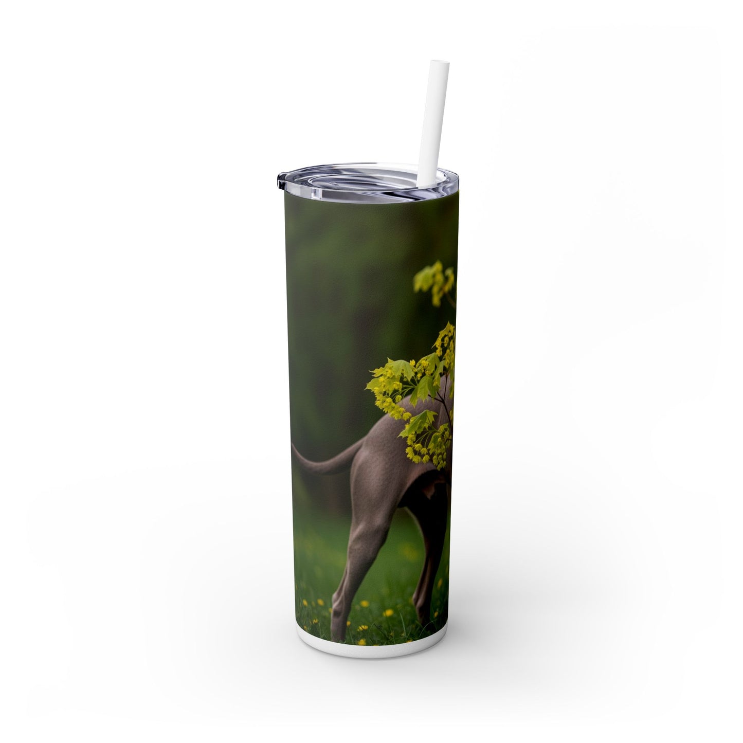 Weimaraner Skinny Tumbler with Straw, 20oz