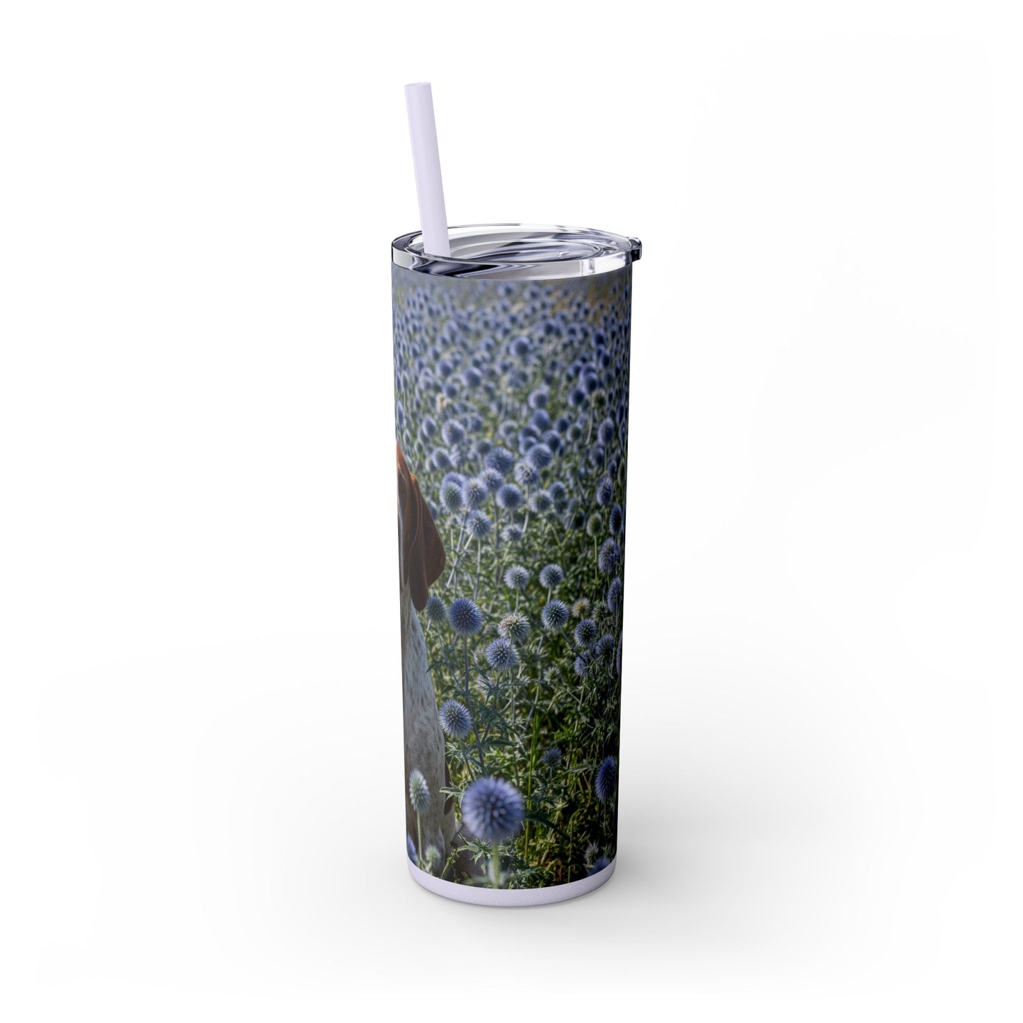 Braque Francais Pyrenean Tumbler with Straw, 20oz