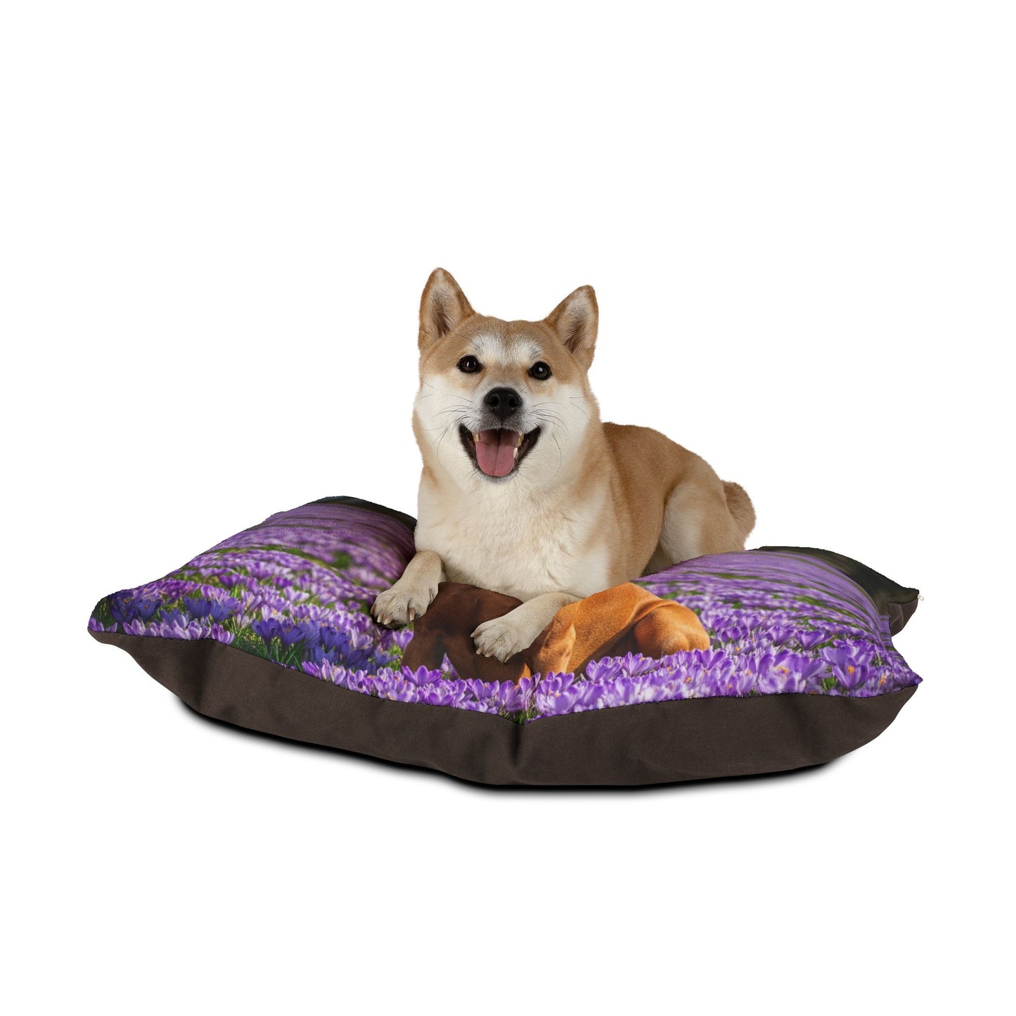 Vizsla Pet Bed
