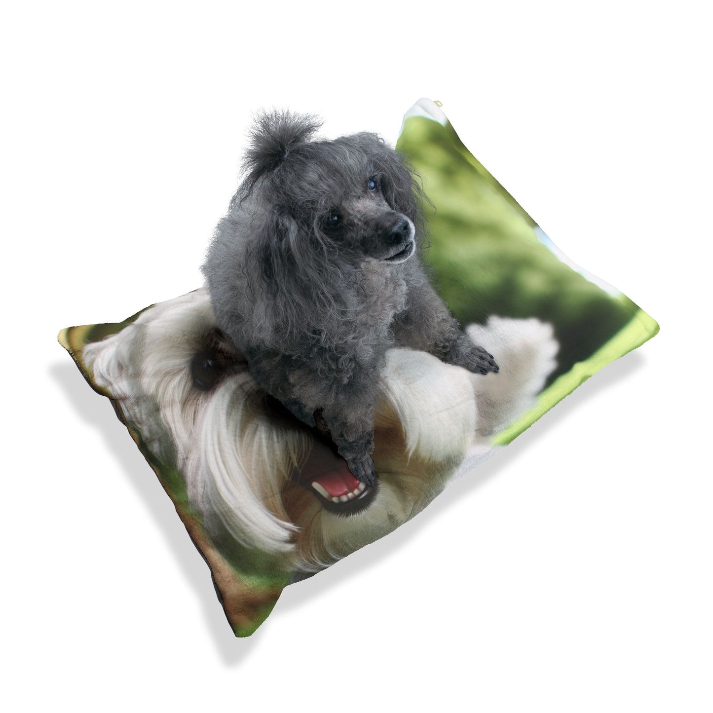 Sealyham Terrier Pet Bed