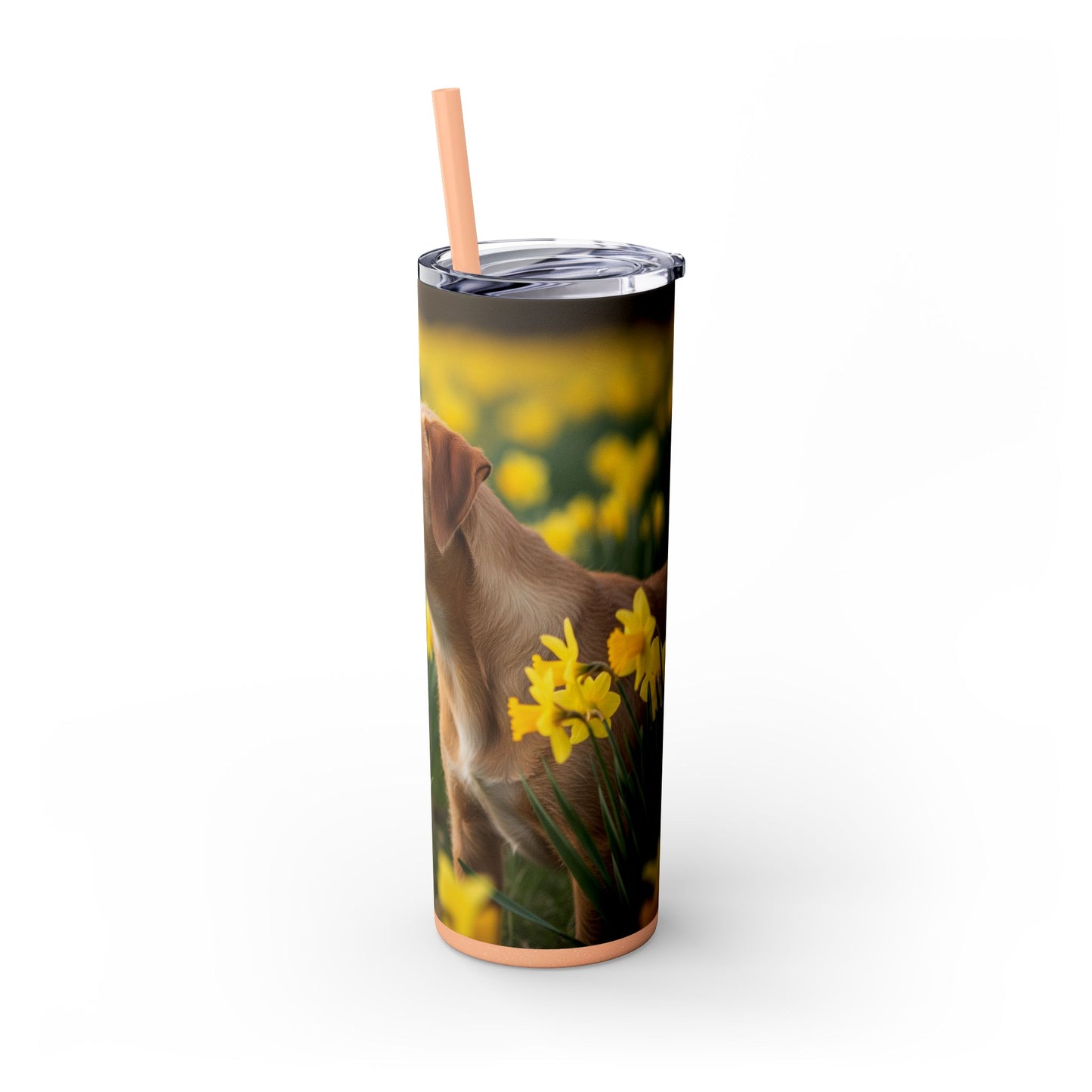 Portuguese Podengo Pequeno Skinny Tumbler with Straw, 20oz