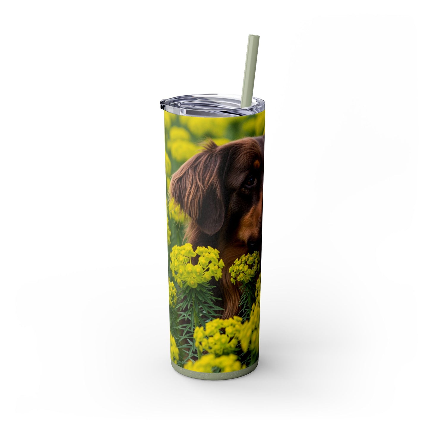 Hovawart Tumbler with Straw, 20oz