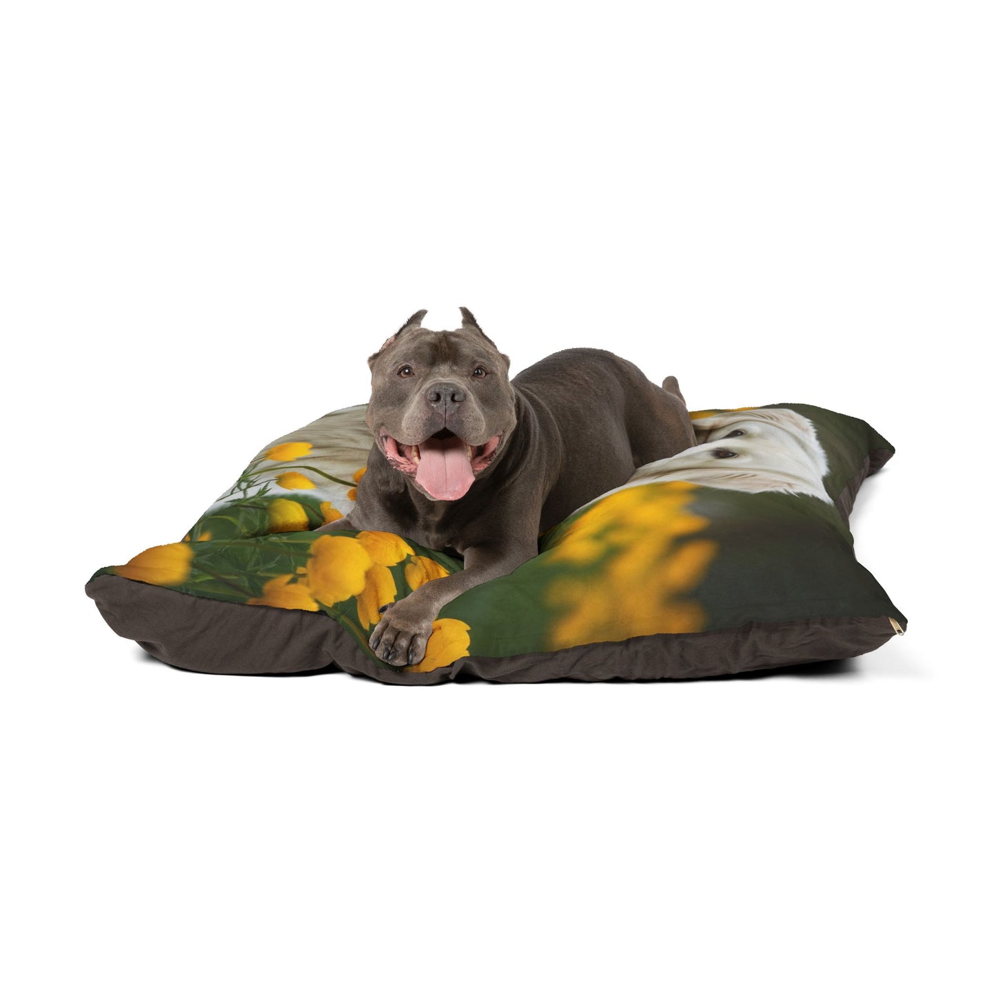 Romanian Mioritic Shepherd Dog Pet Bed