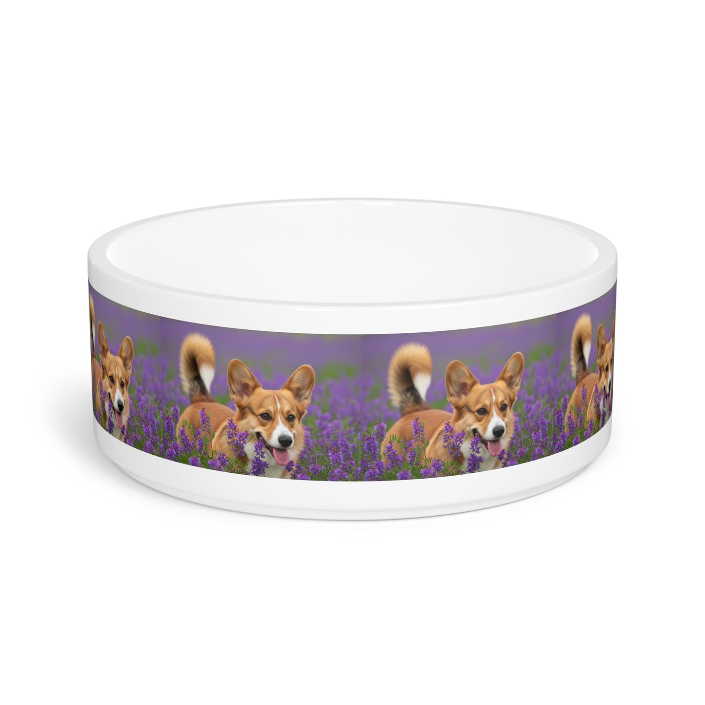 Cardigan Welsh Corgi Pet Bowl