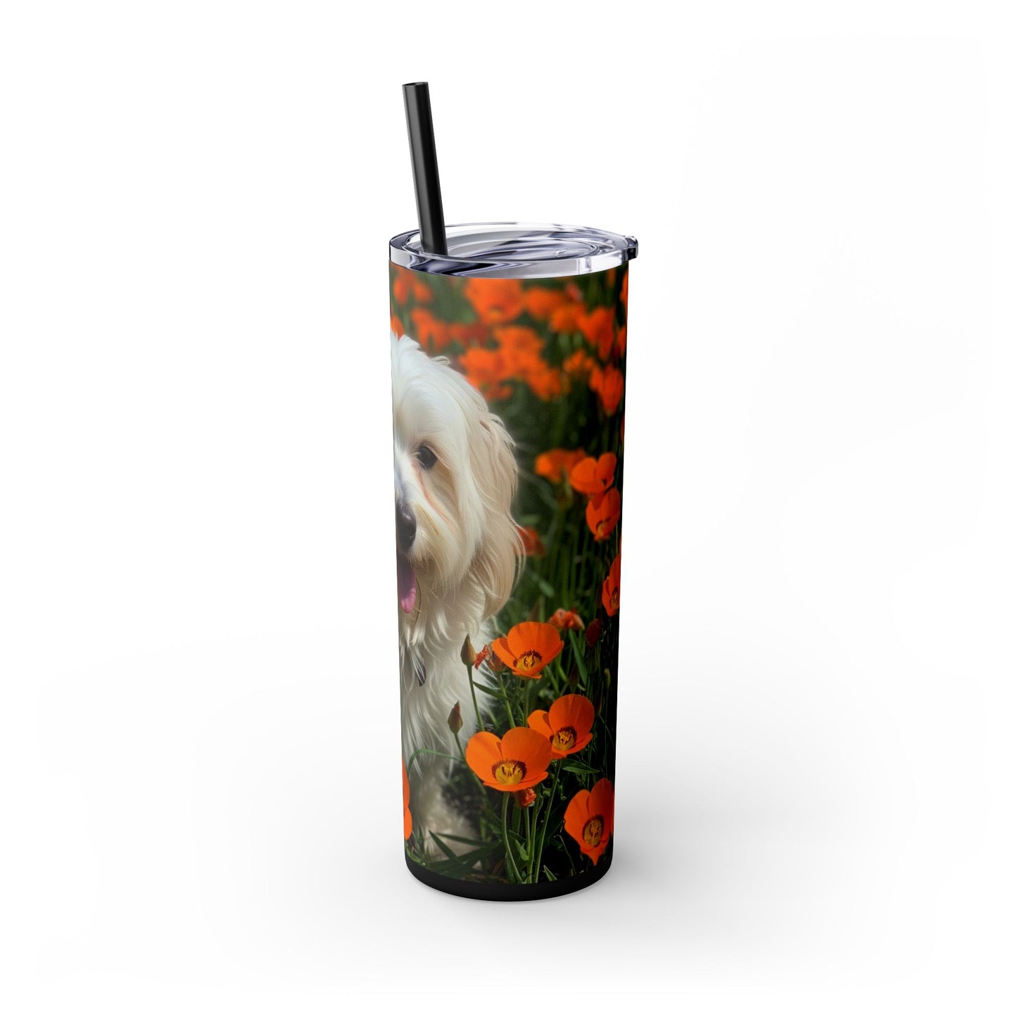 Havanese Tumbler with Straw, 20oz