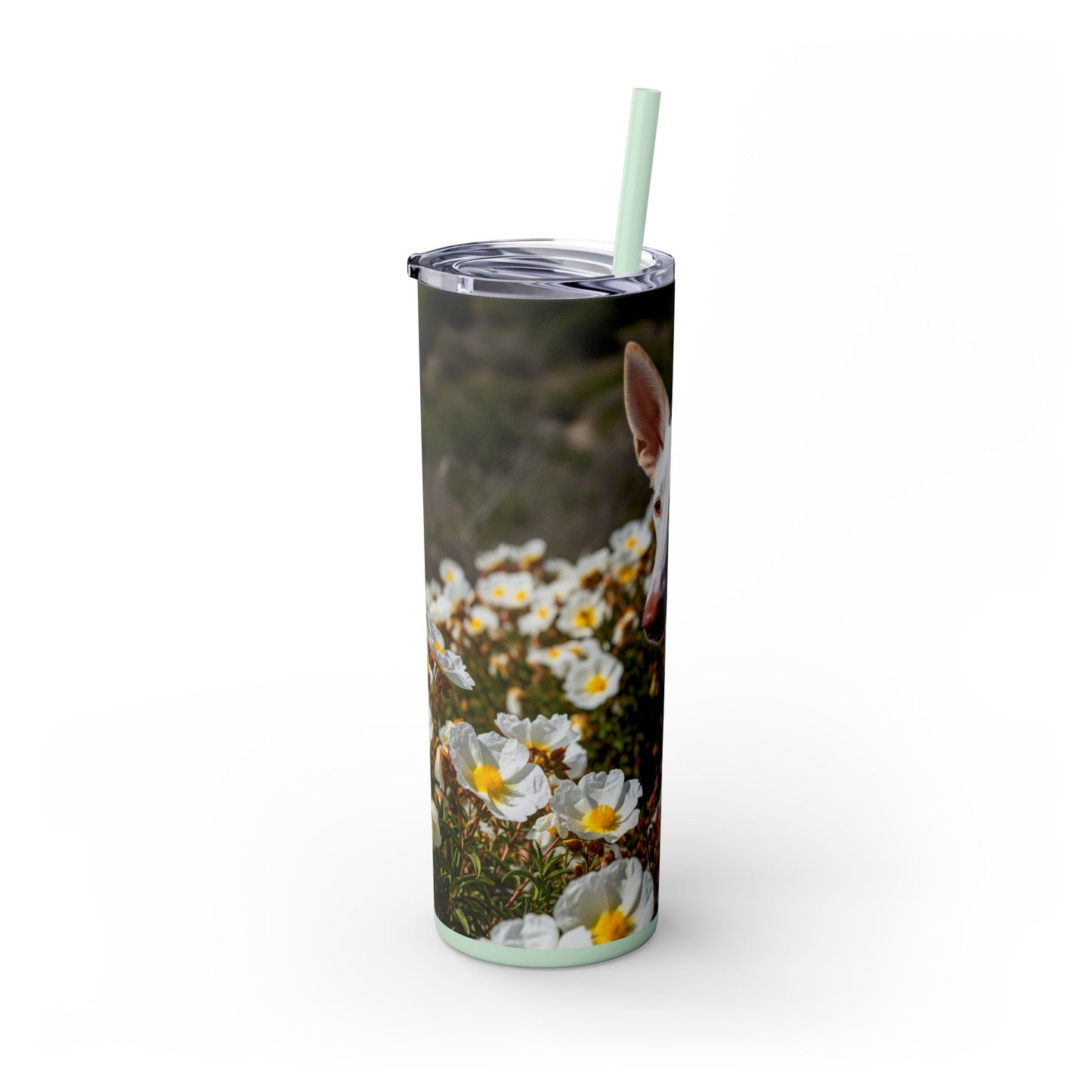 Ibizan Hound Tumbler with Straw, 20oz