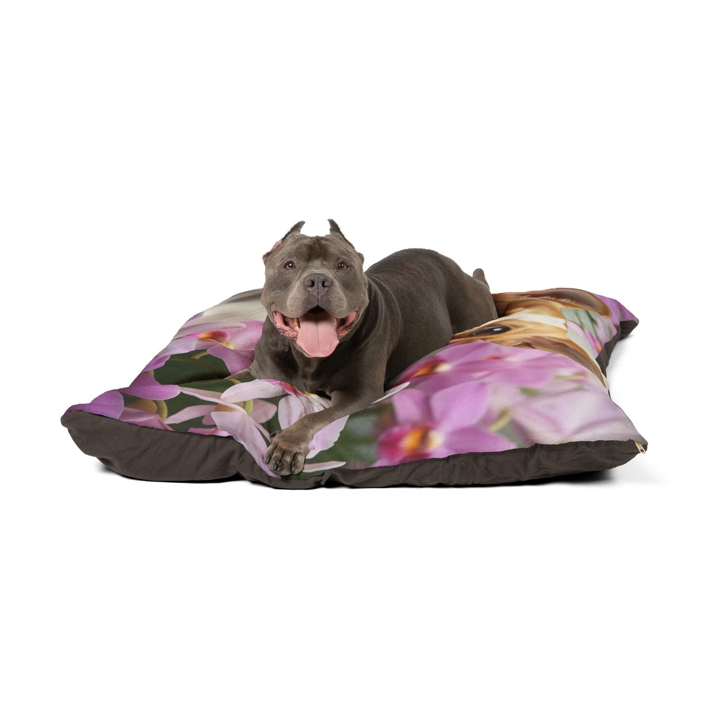 Chihuahua Pet Bed
