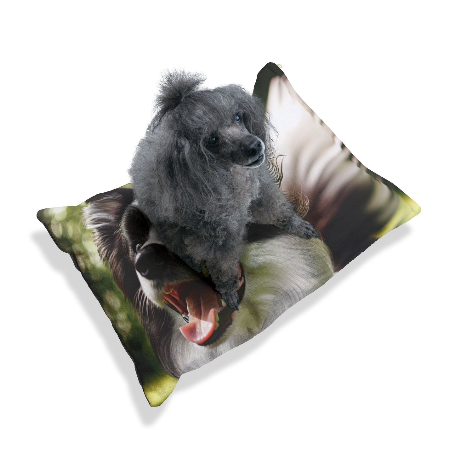 Border Collie Pet Bed