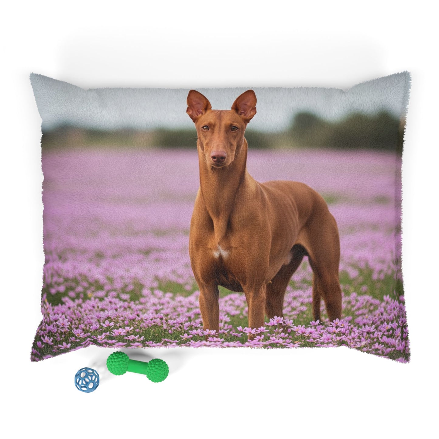 Pharaoh Hound Pet Bed