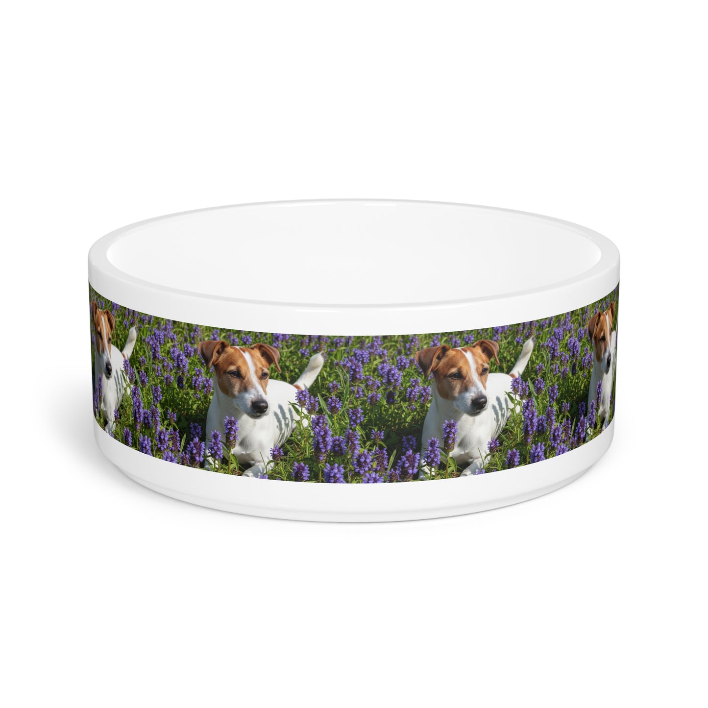 Jack Russell Terrier Pet Bowl