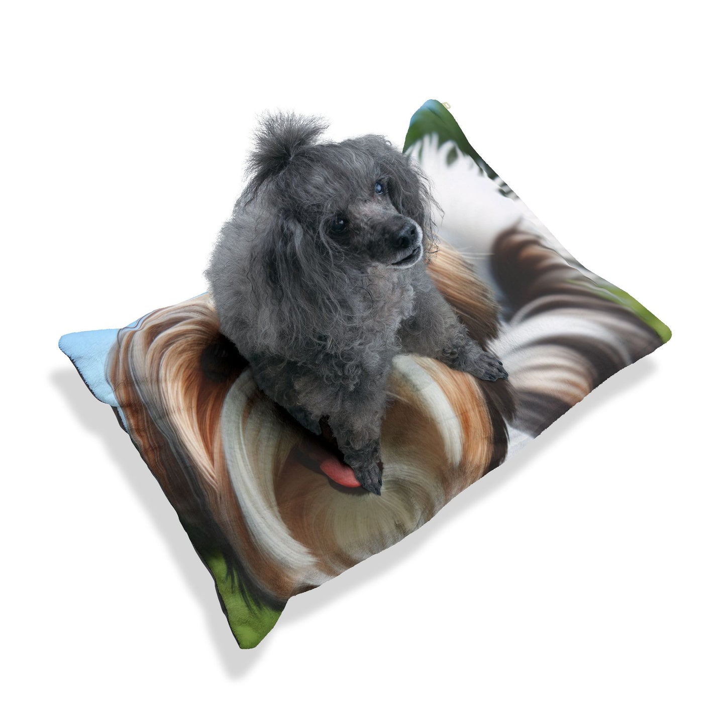 Biewer Terrier Pet Bed