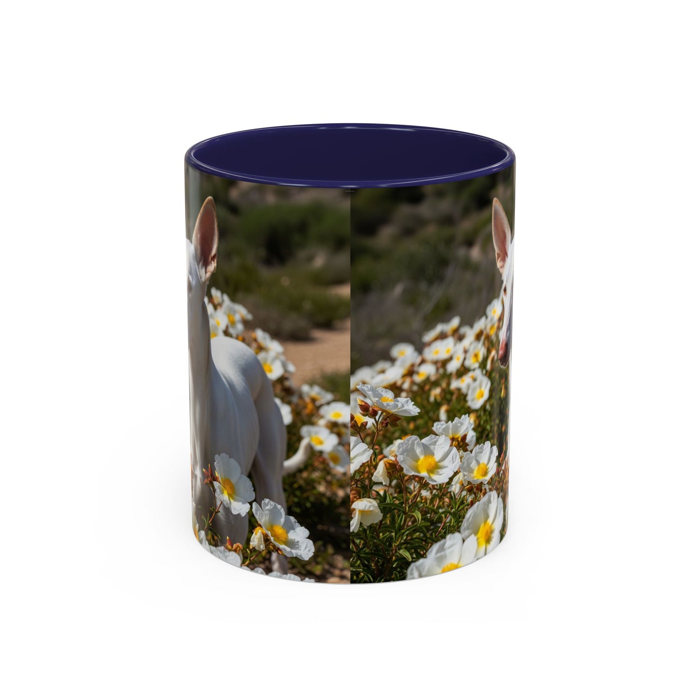 Ibizan Hound Accent Coffee Mug - Perfect Gift for Dog Lovers