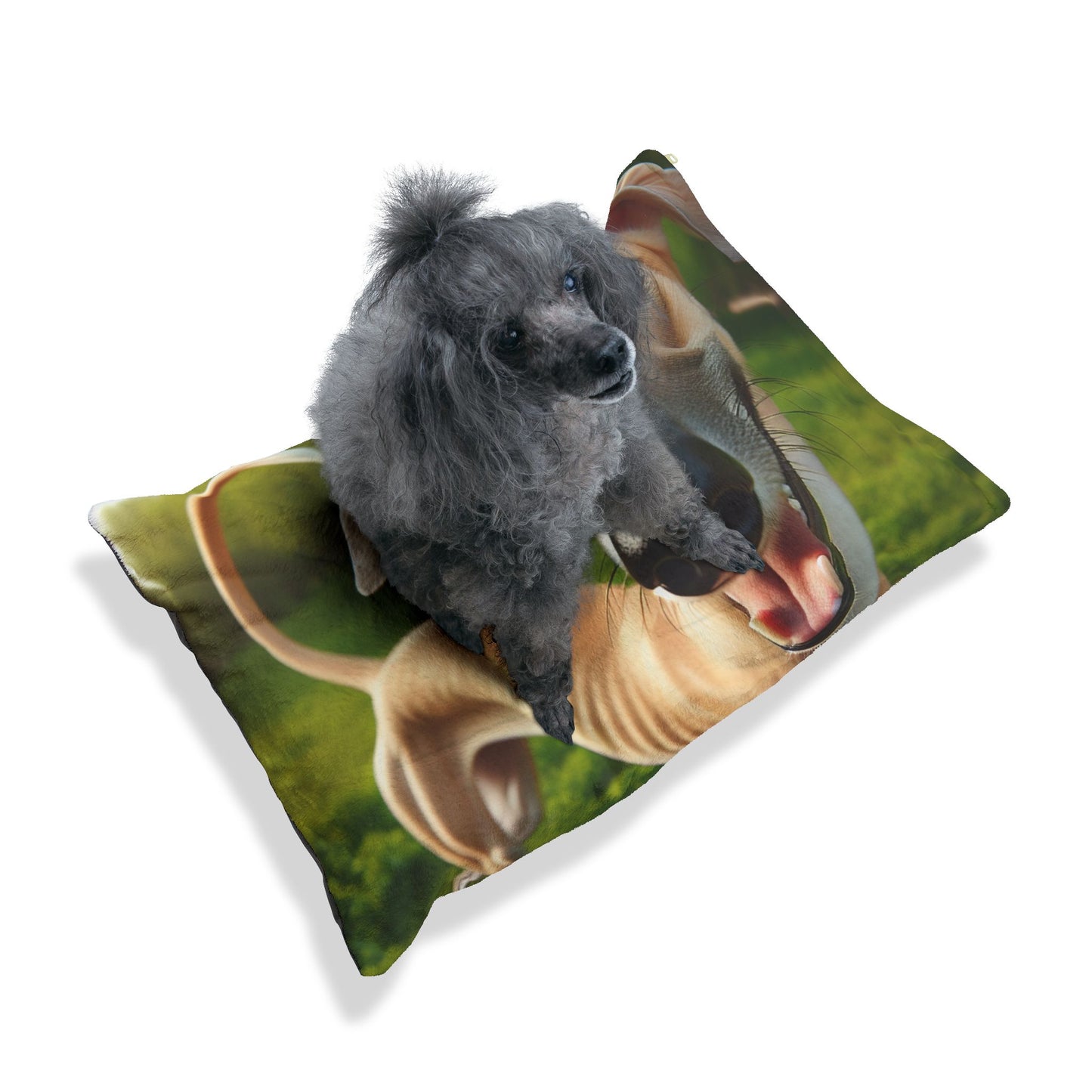 Sloughi Pet Bed