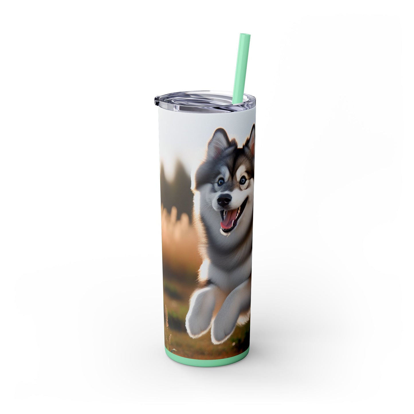 Alaskan Klee Kai Skinny Tumbler with Straw, 20oz