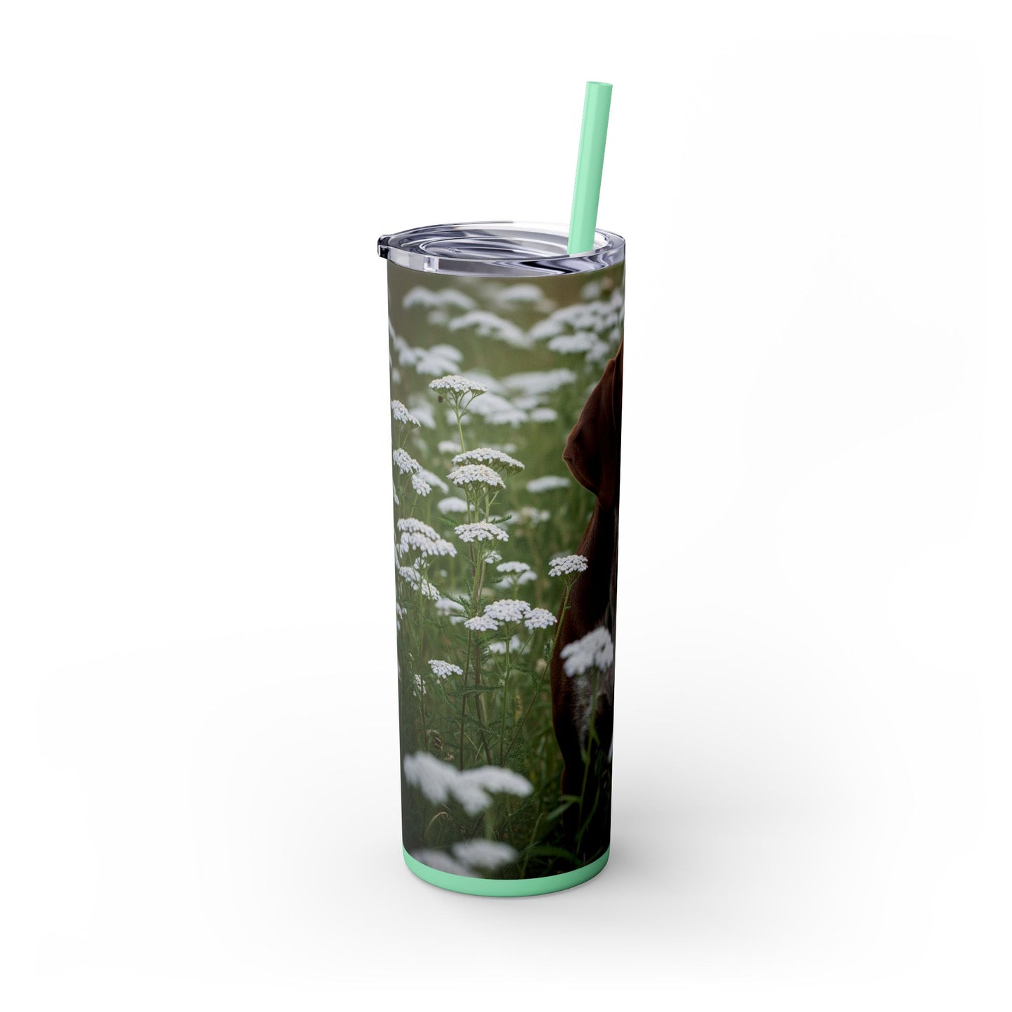 Braque du Bourbonnais Tumbler with Straw, 20oz