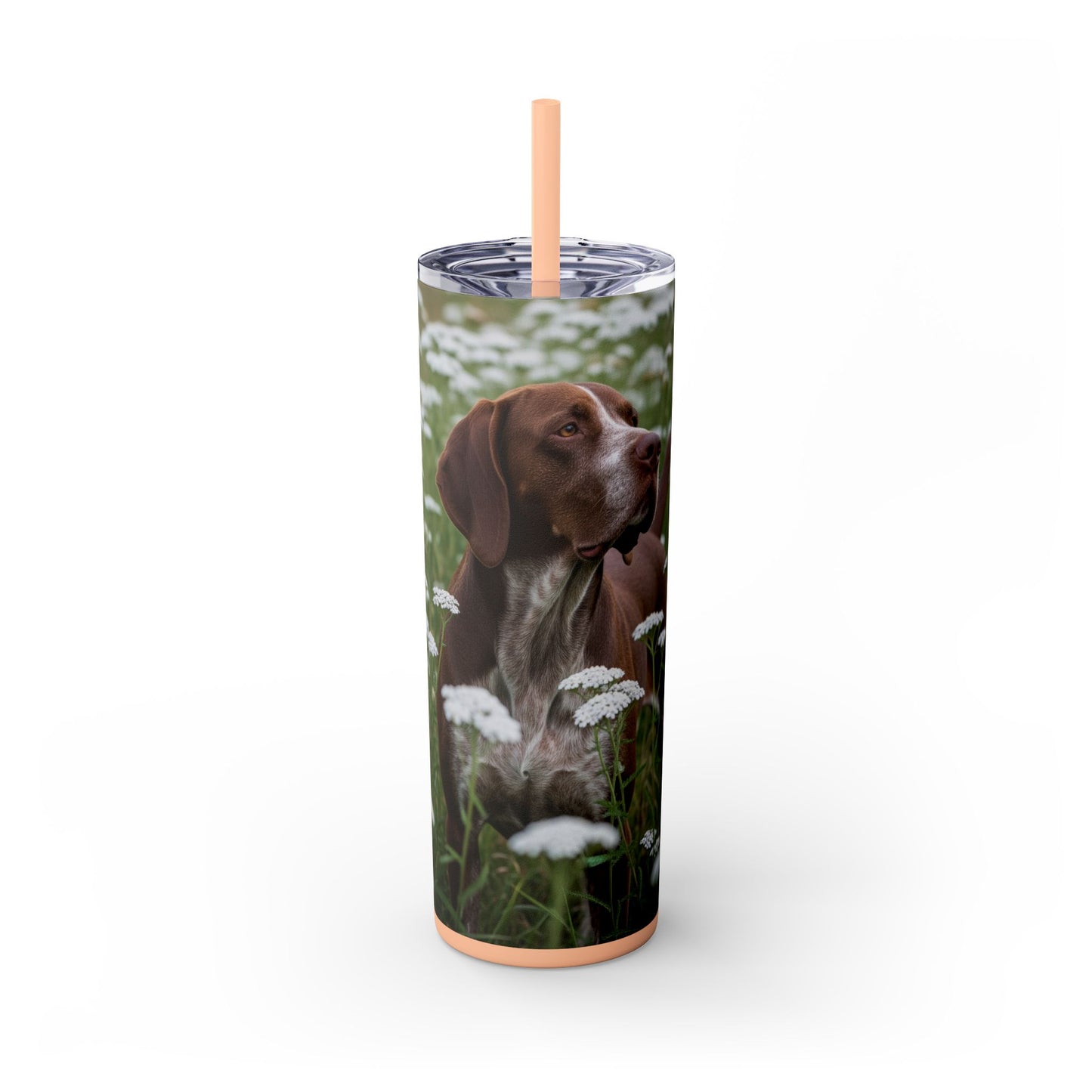 Braque du Bourbonnais Tumbler with Straw, 20oz