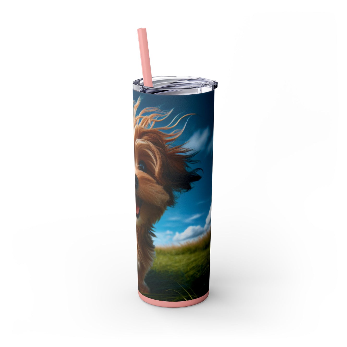 Kaikadi Tumbler with Straw, 20oz