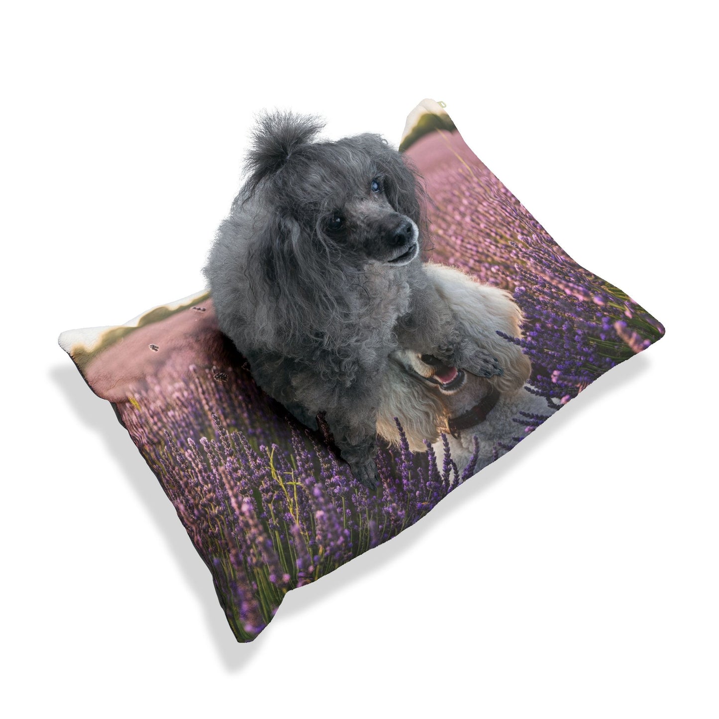 Poodle Pet Bed