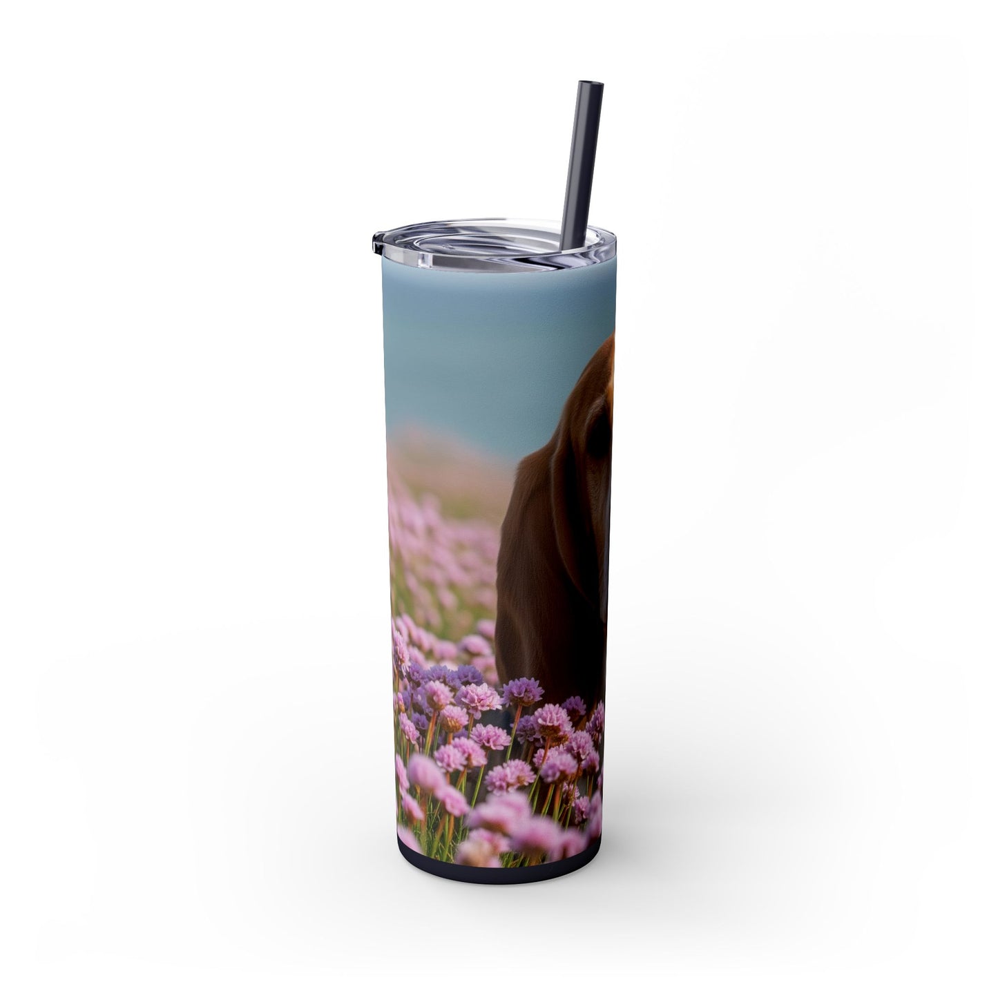 Basset Fauve de Bretagne Skinny Tumbler with Straw, 20oz